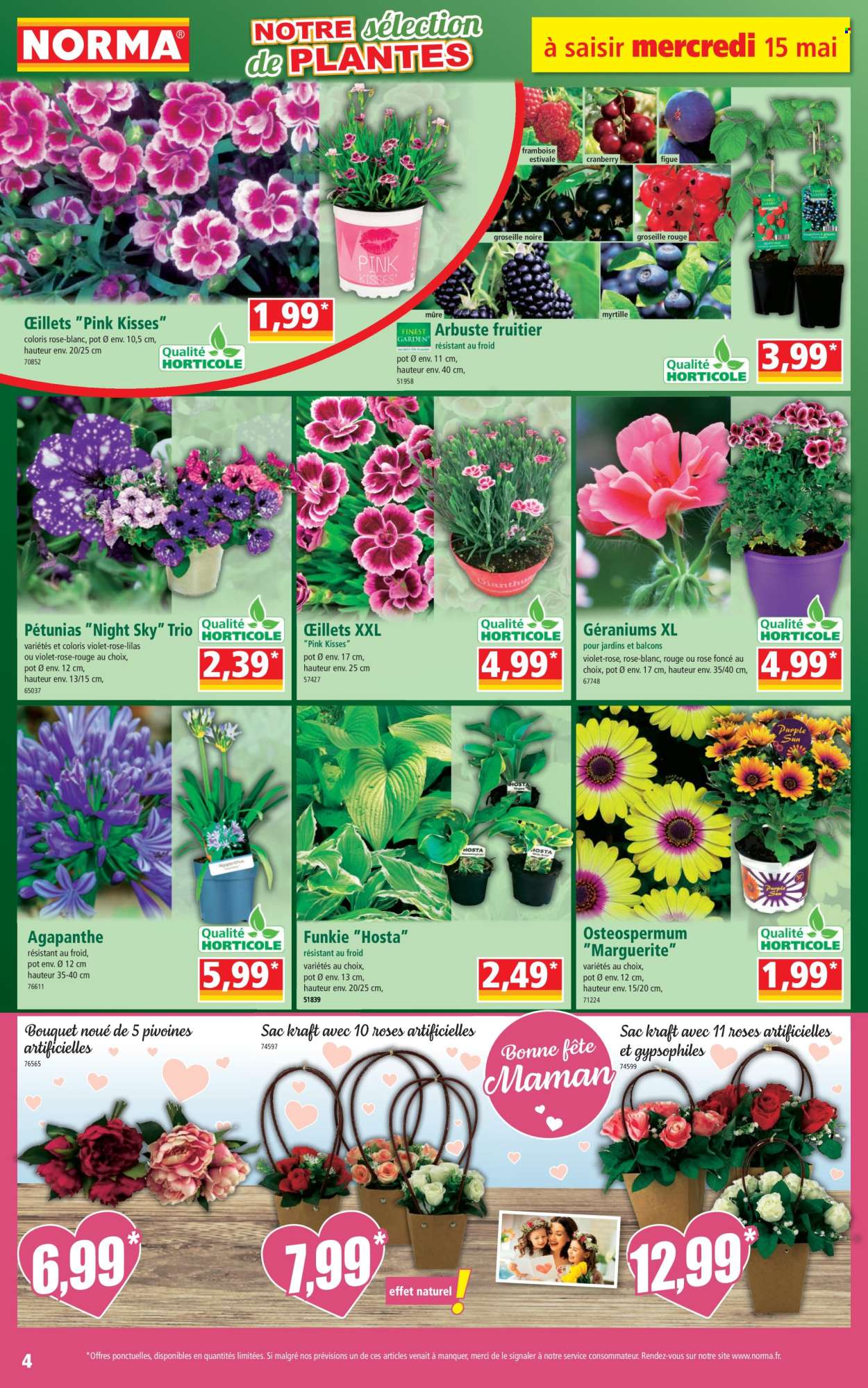 Catalogue Norma - 15/05/2024 - 21/05/2024. Page 4