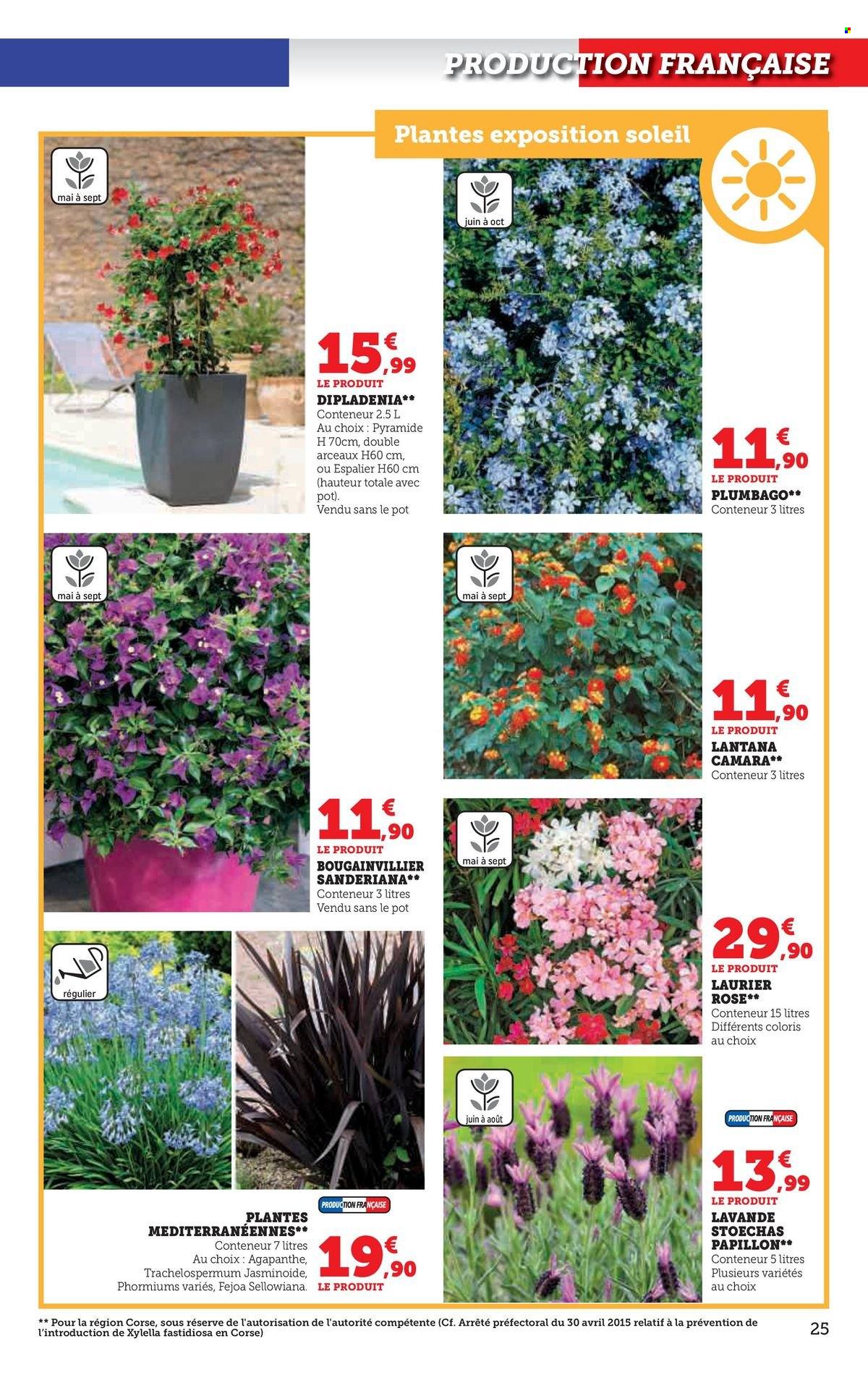 Catalogue SUPER U - 30/04/2024 - 26/05/2024. Page 25