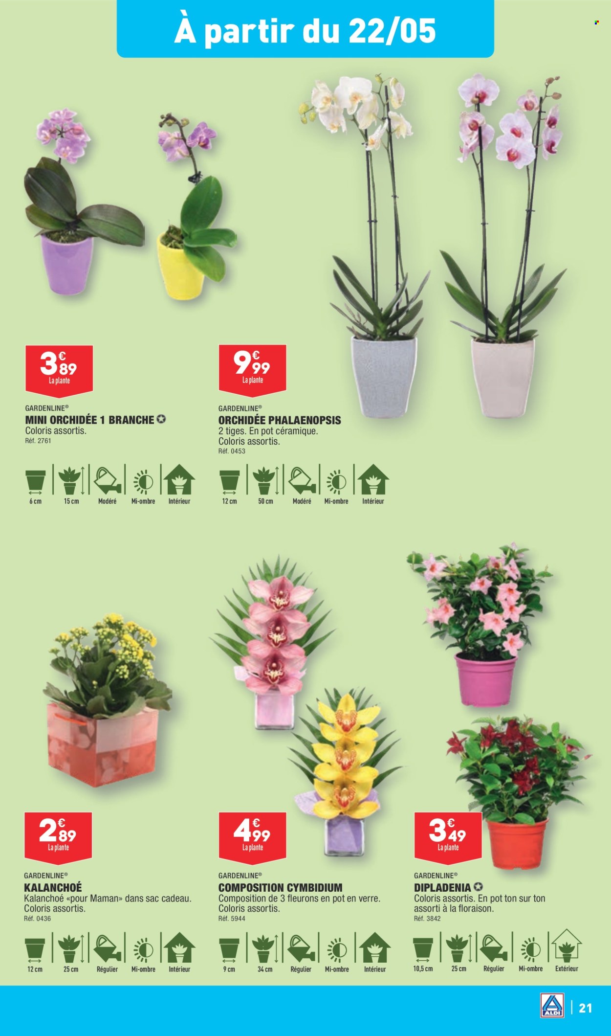Catalogue ALDI - 22/05/2024 - 27/05/2024. Page 23