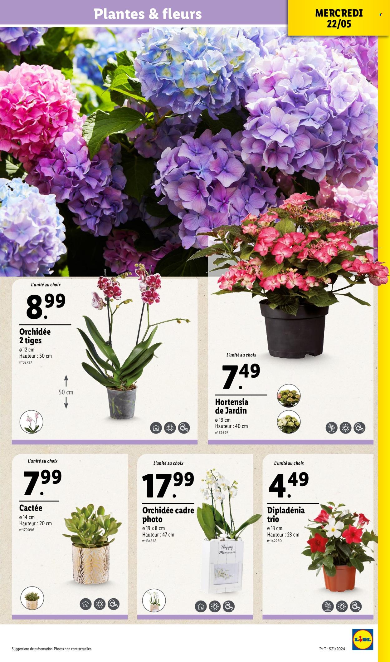 Catalogue Lidl - 22/05/2024 - 28/05/2024. Page 3