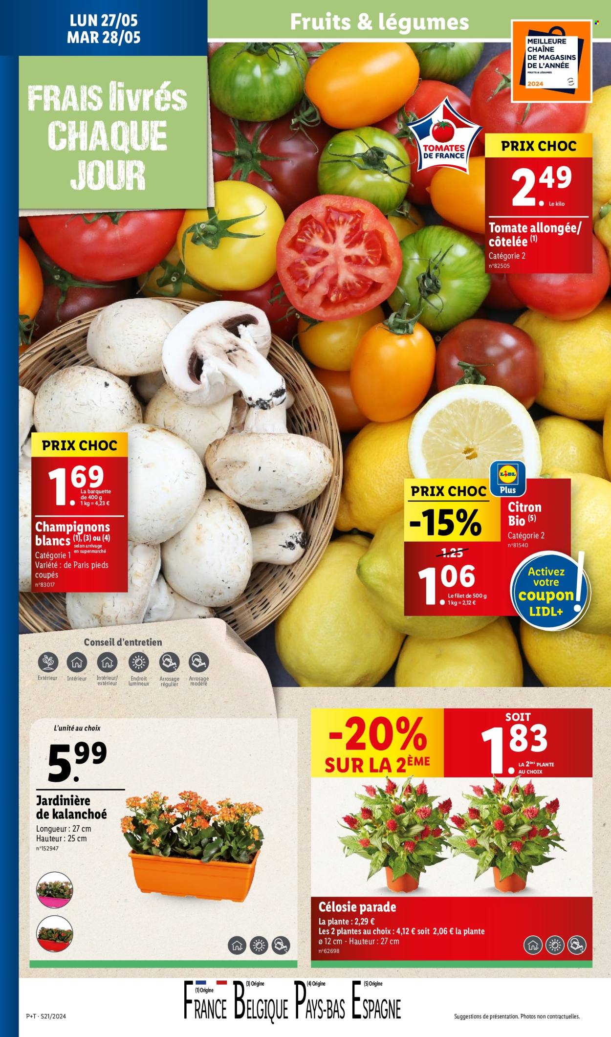 Catalogue Lidl - 22/05/2024 - 28/05/2024. Page 32