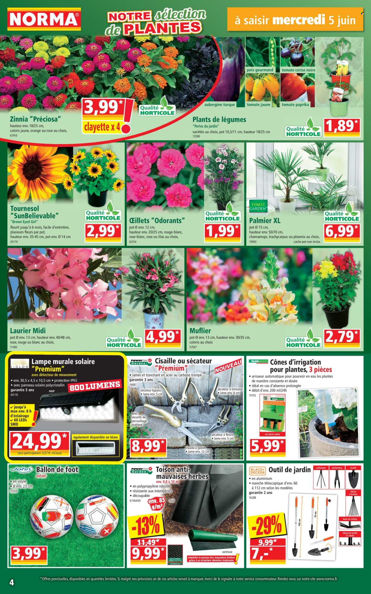 Catalogue Norma - 05/06/2024 - 11/06/2024. Page 4