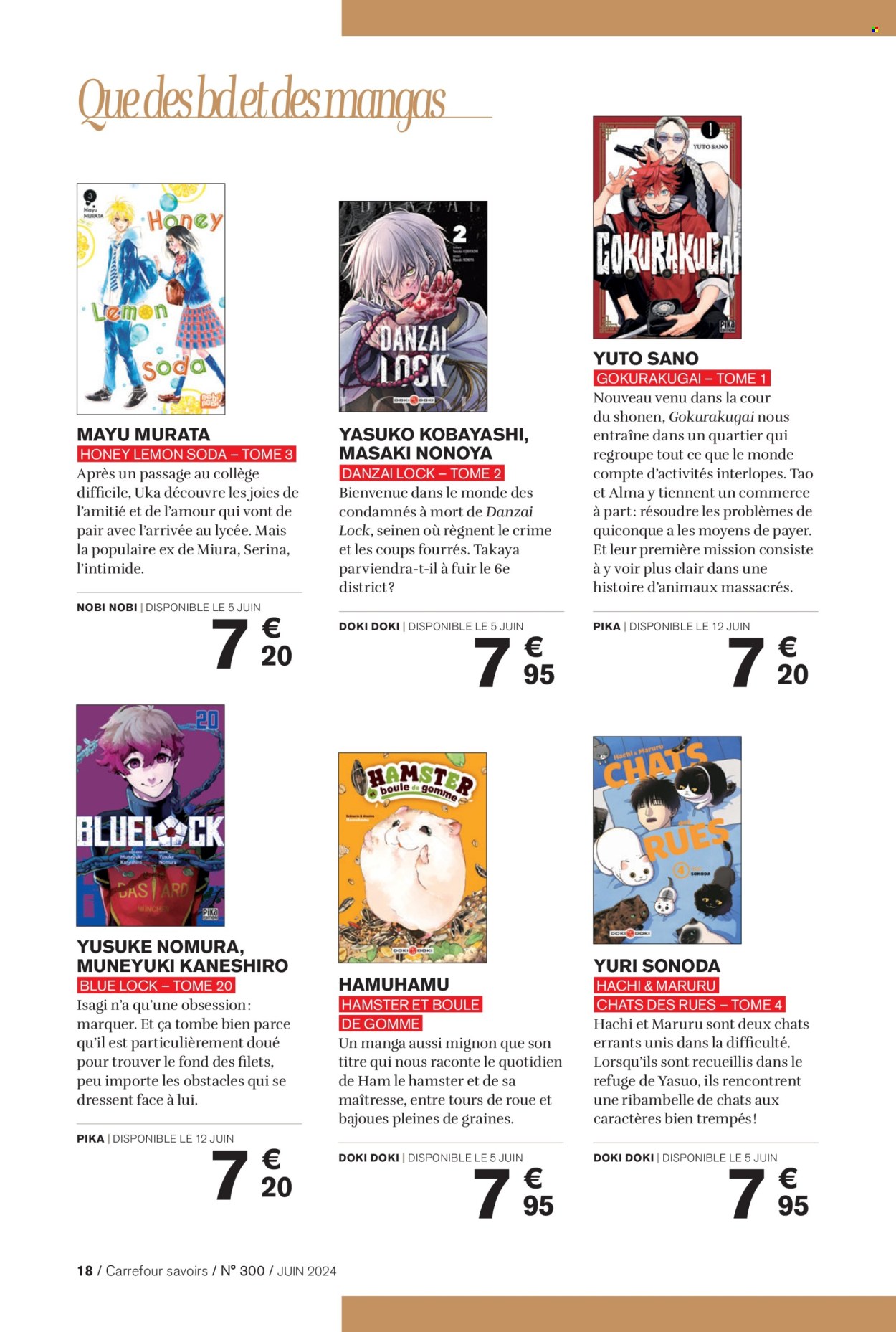 Catalogue Carrefour - 01/06/2024 - 30/06/2024. Page 18