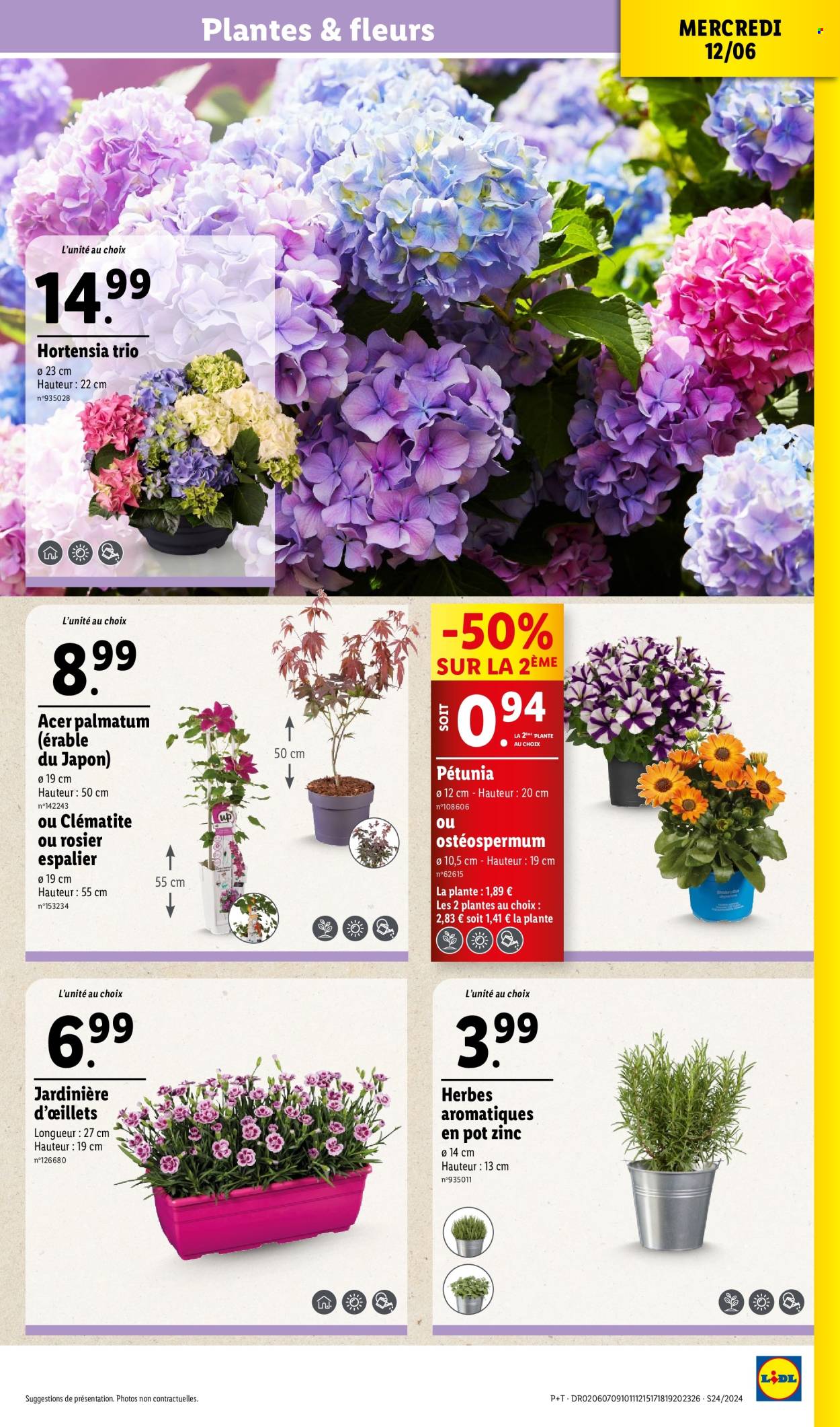 Catalogue Lidl - 12/06/2024 - 18/06/2024. Page 25