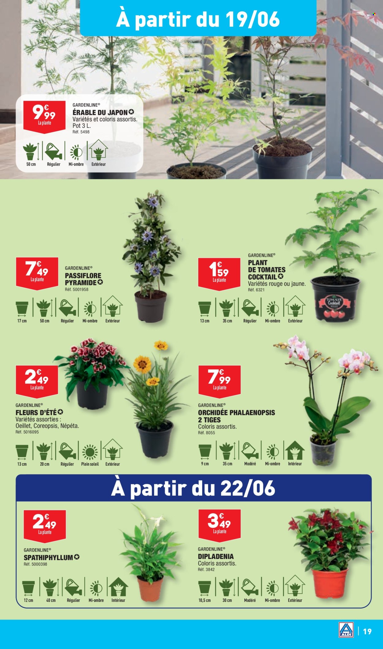 Catalogue ALDI - 18/06/2024 - 24/06/2024. Page 21