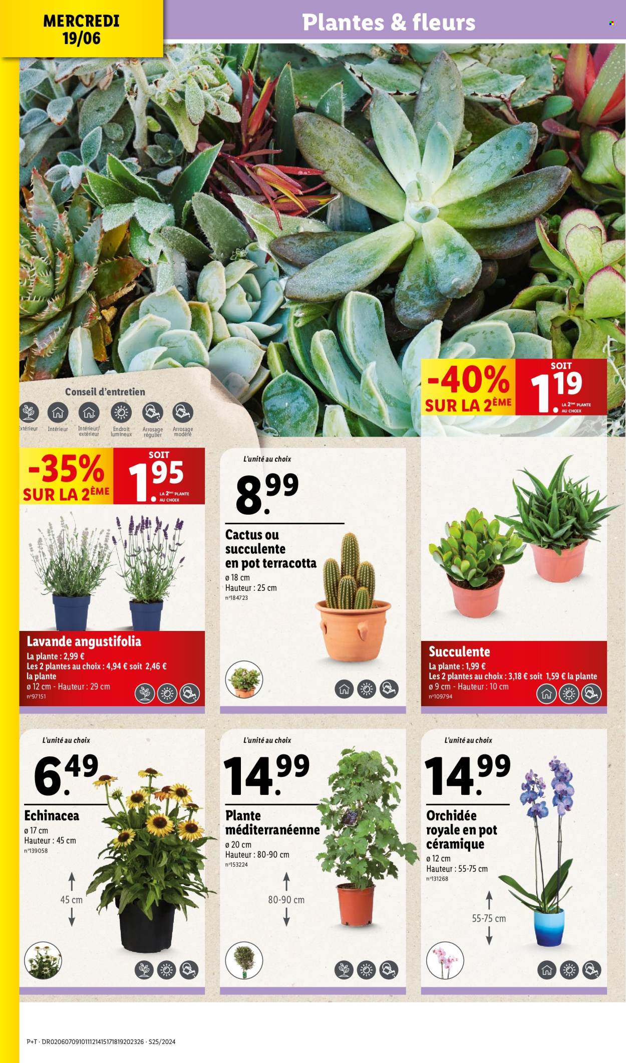 Catalogue Lidl - 19/06/2024 - 25/06/2024. Page 4