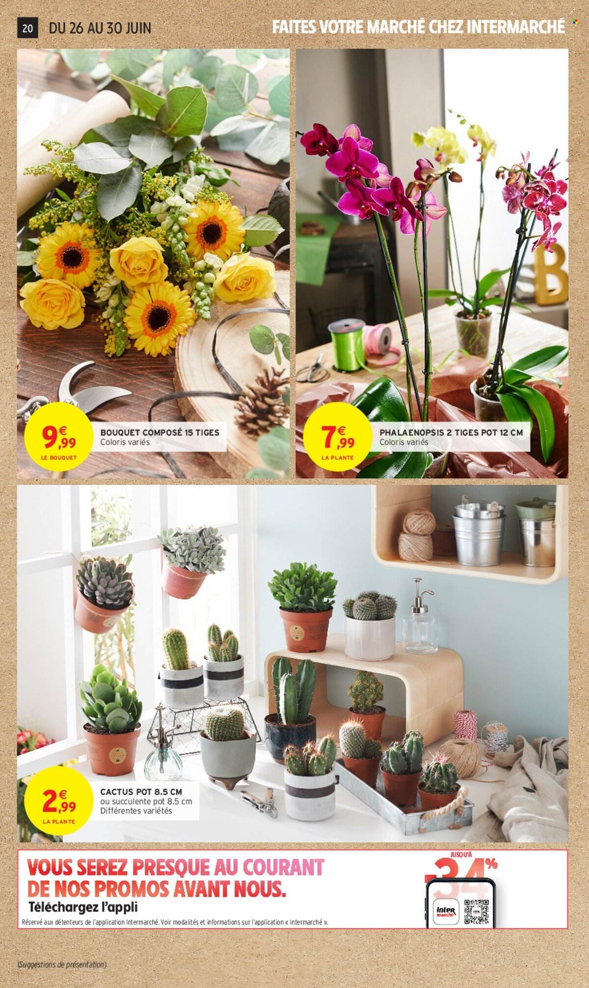 Catalogue Intermarché - 25/06/2024 - 07/07/2024. Page 20