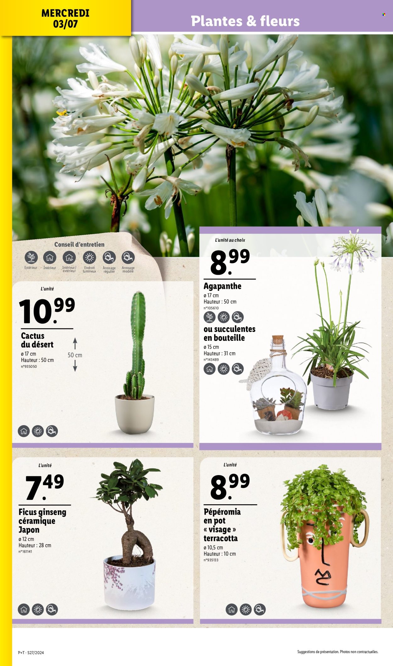 Catalogue Lidl - 03/07/2024 - 09/07/2024. Page 34