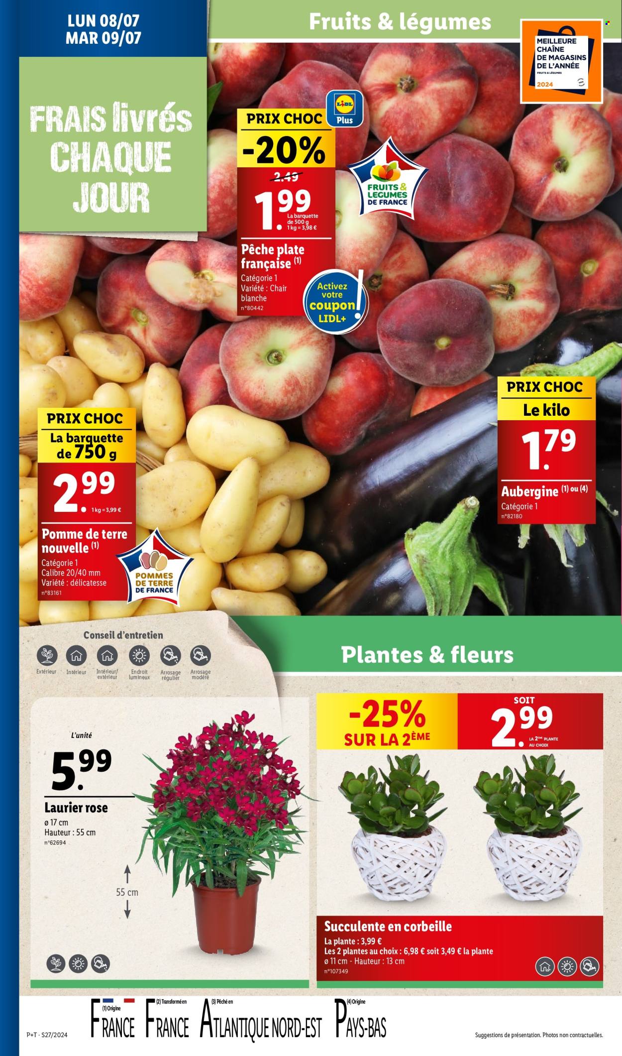 Catalogue Lidl - 03/07/2024 - 09/07/2024. Page 36