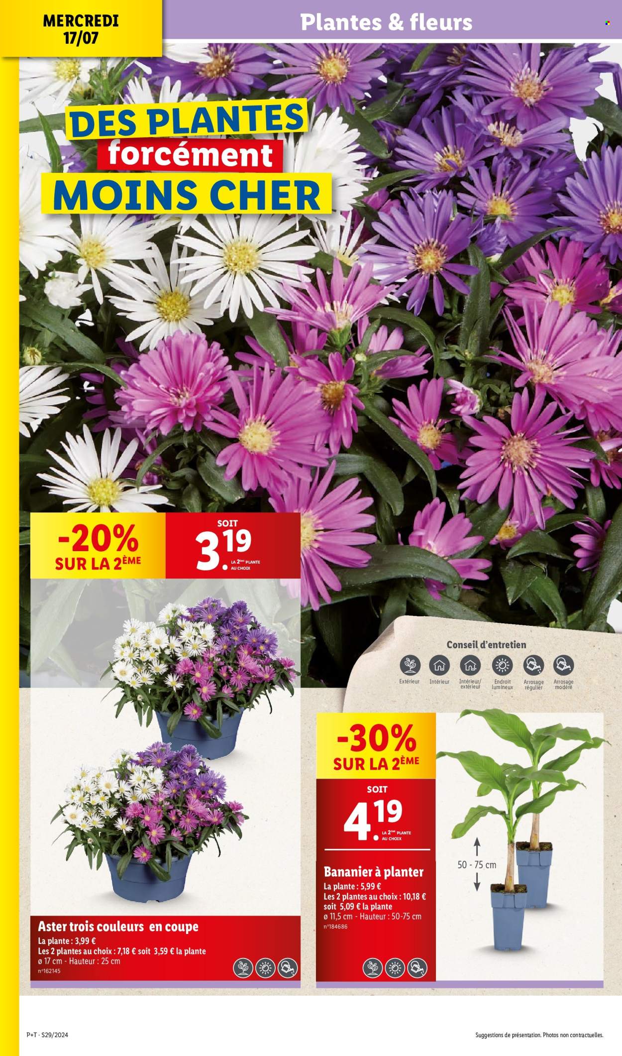 Catalogue Lidl - 17/07/2024 - 23/07/2024. Page 42