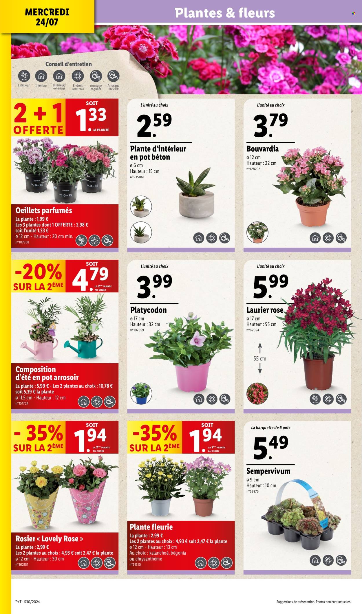 Catalogue Lidl - 24/07/2024 - 30/07/2024. Page 2