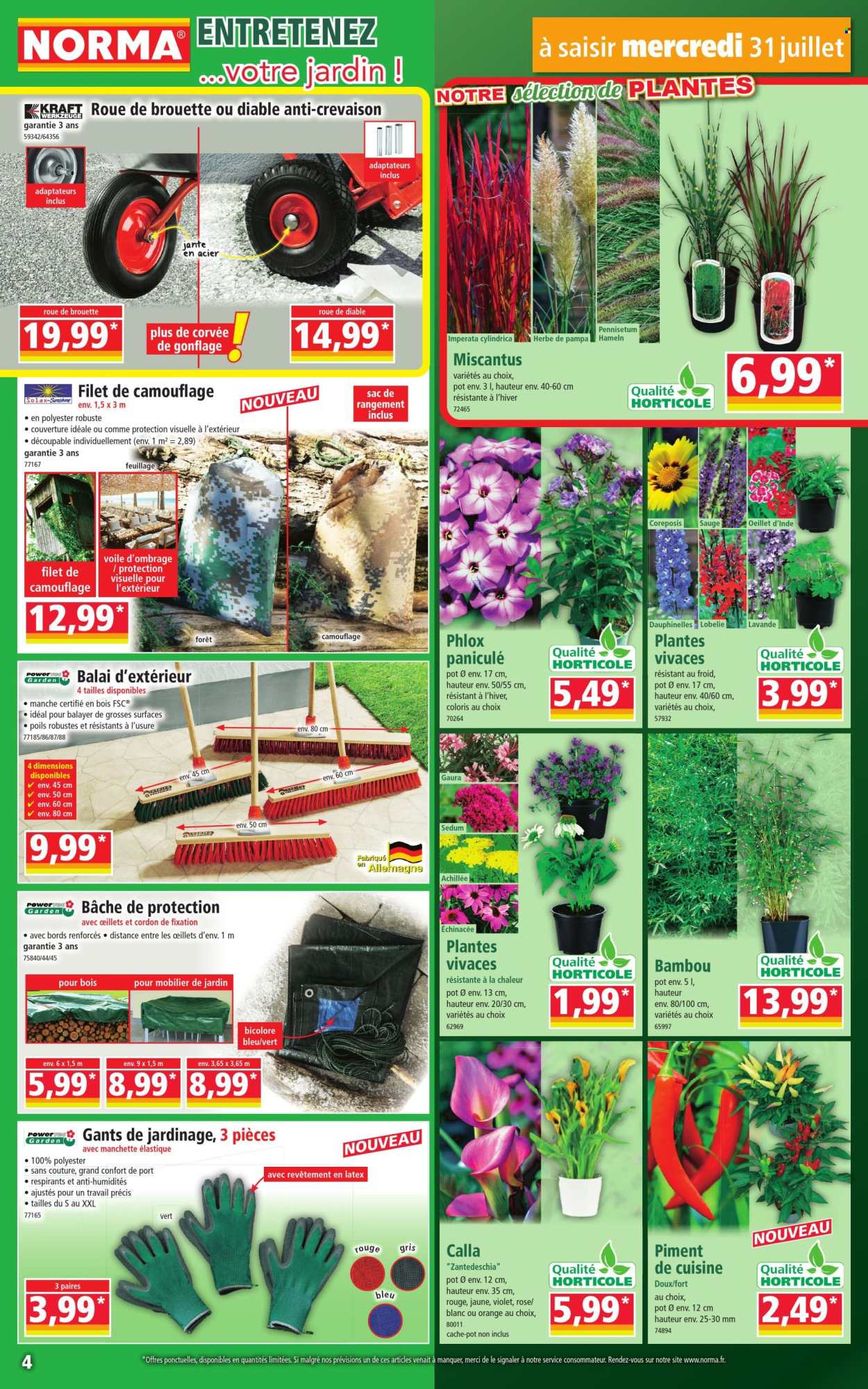 Catalogue Norma - 31/07/2024 - 06/08/2024. Page 4