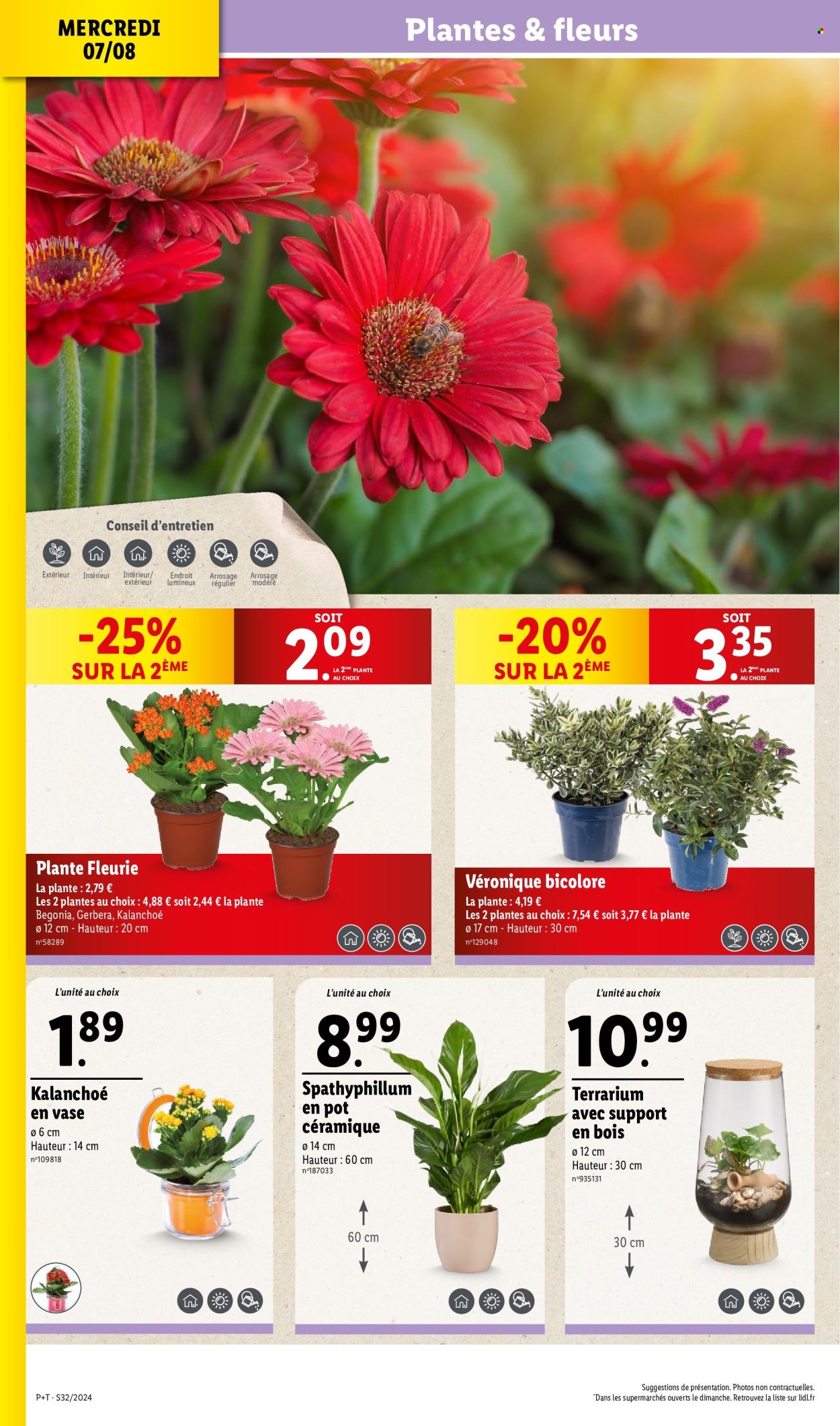 Catalogue Lidl - 07/08/2024 - 13/08/2024. Page 2