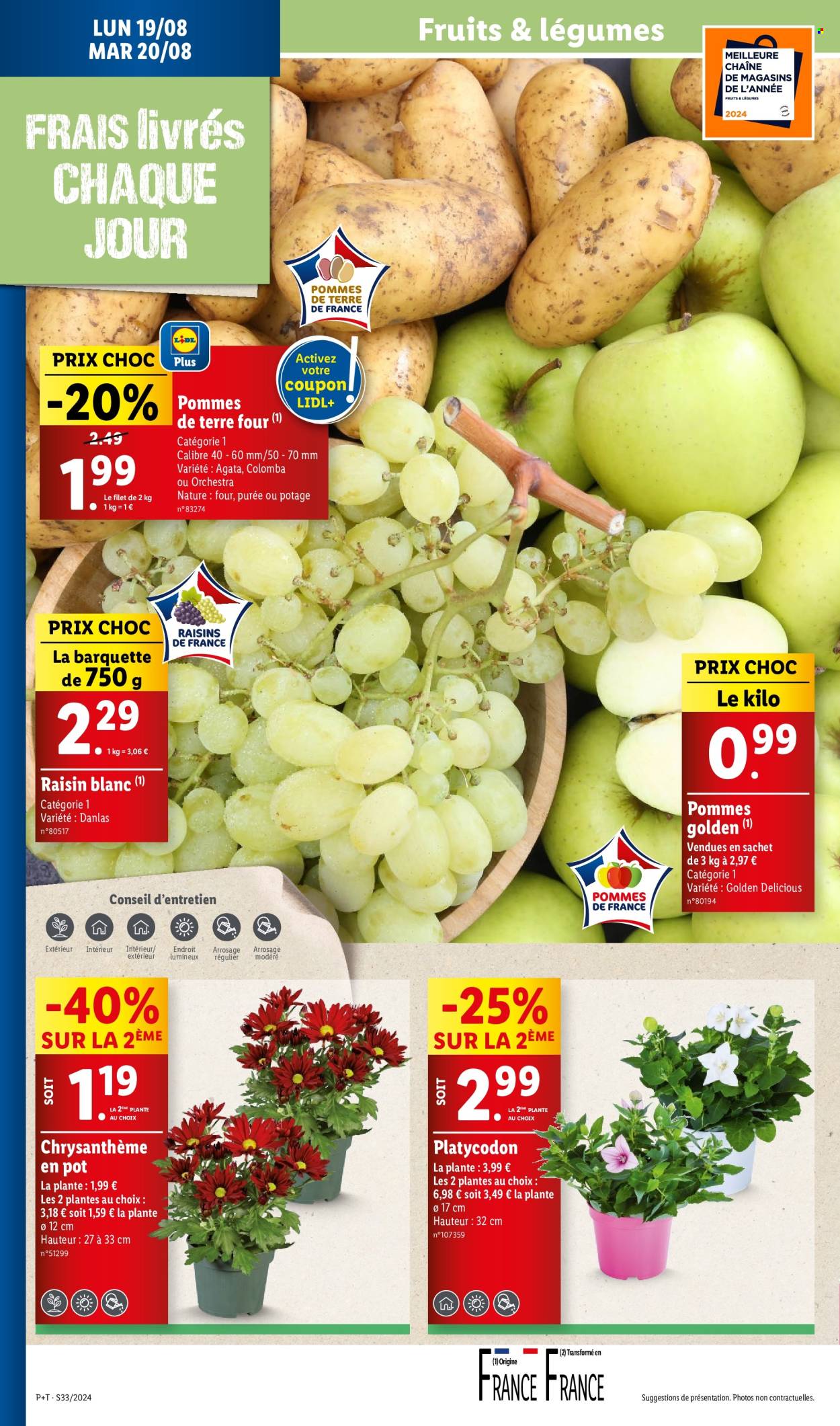 Catalogue Lidl - 14/08/2024 - 20/08/2024. Page 24
