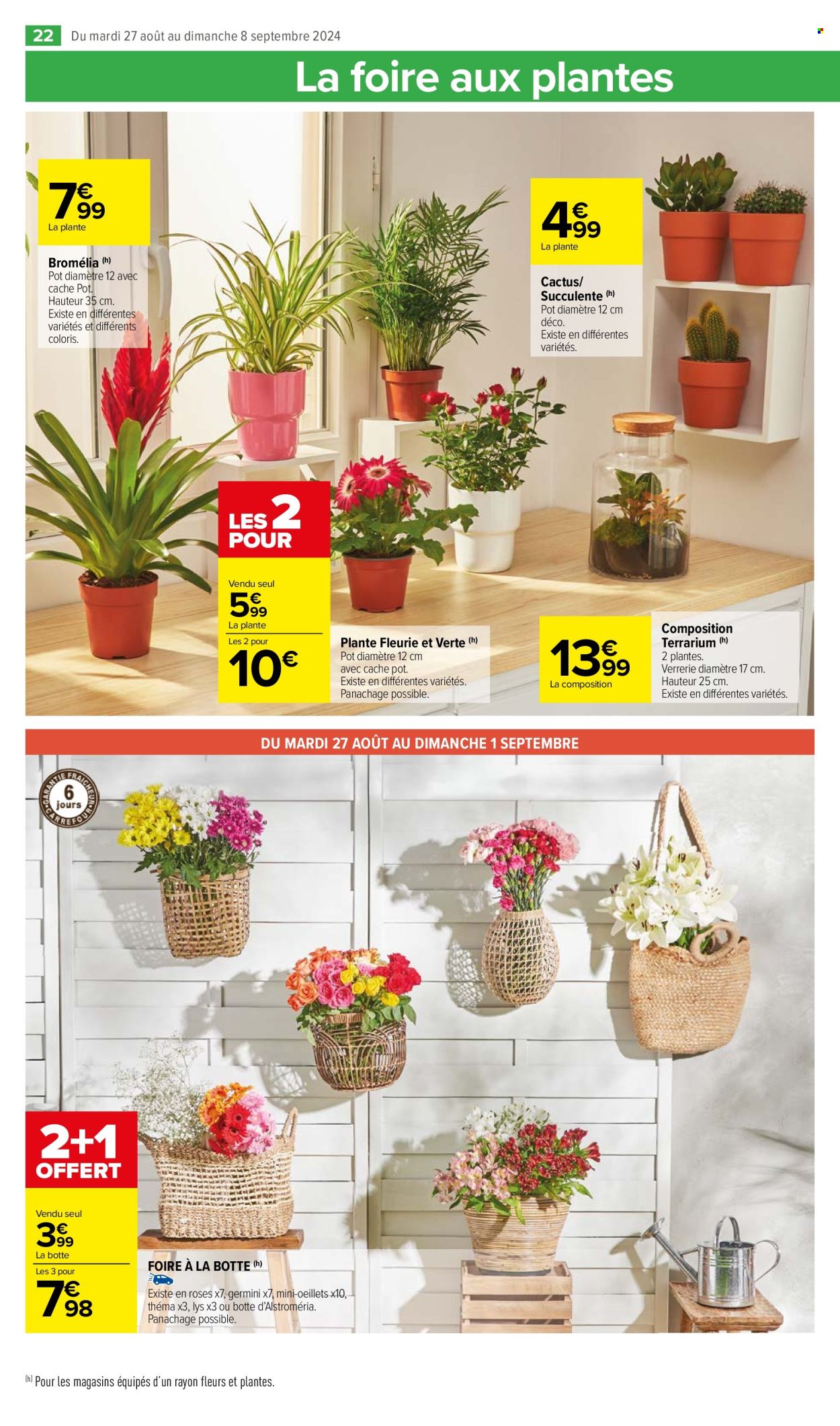 Catalogue Carrefour Market - 27/08/2024 - 08/09/2024. Page 24