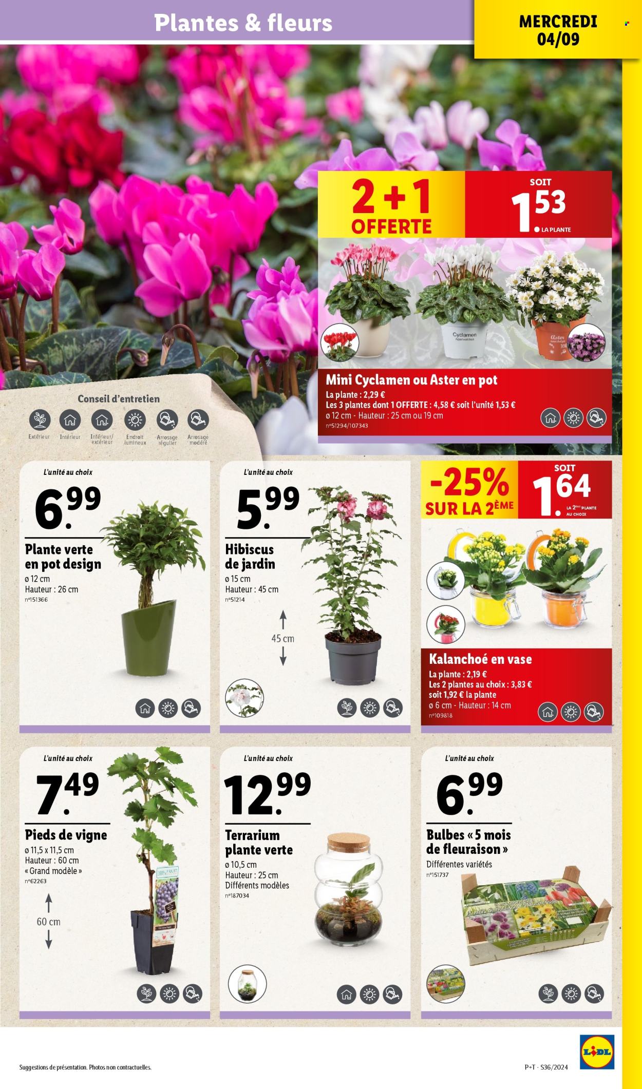 Catalogue Lidl - 04/09/2024 - 10/09/2024. Page 3