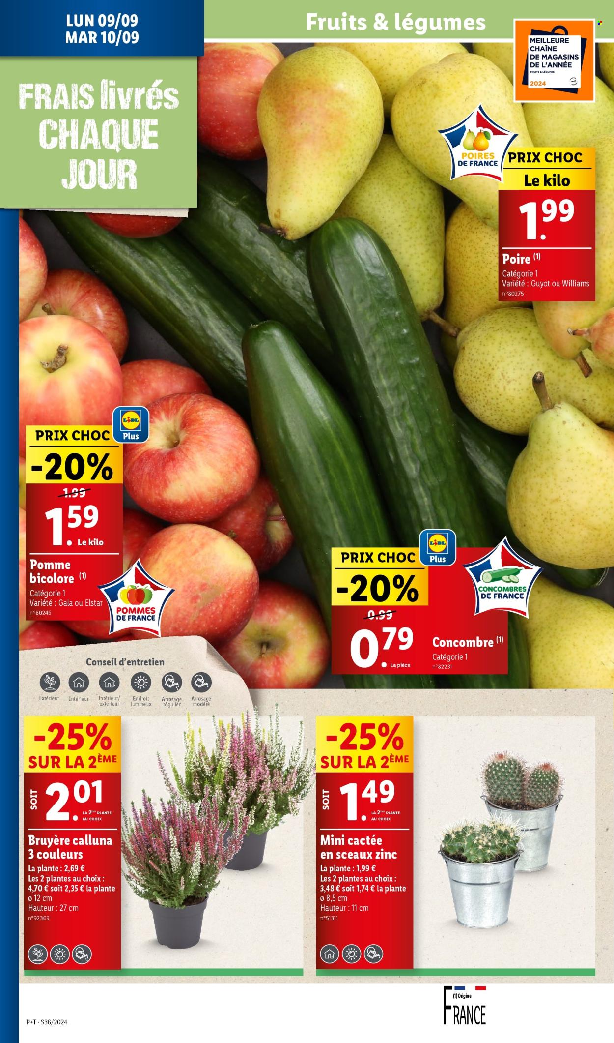 Catalogue Lidl - 04/09/2024 - 10/09/2024. Page 34