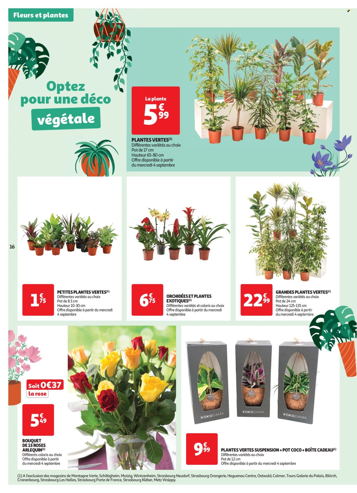 Catalogue Auchan - 03/09/2024 - 08/09/2024. Page 16