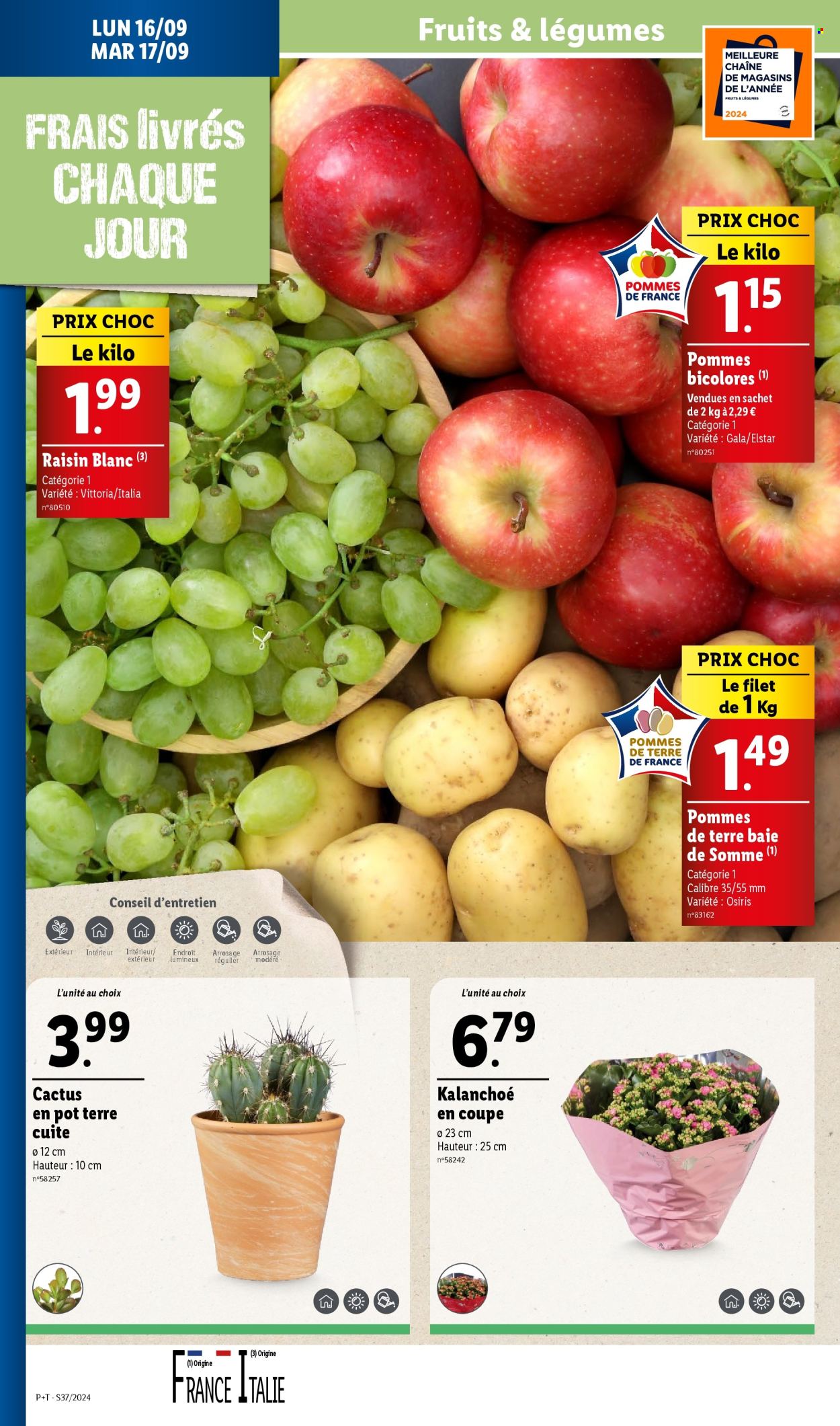 Catalogue Lidl - 11/09/2024 - 17/09/2024. Page 30