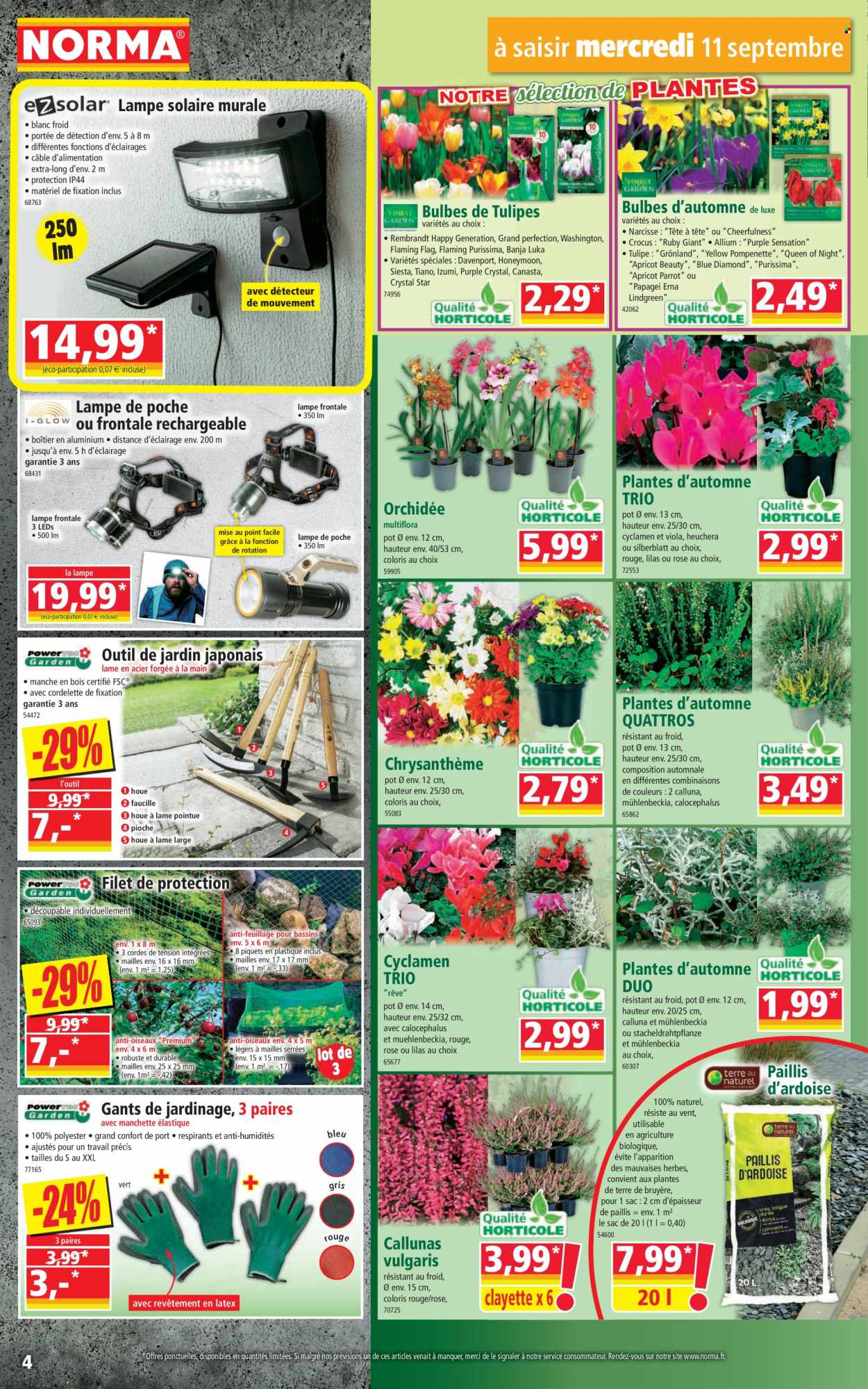 Catalogue Norma - 11/09/2024 - 17/09/2024. Page 4