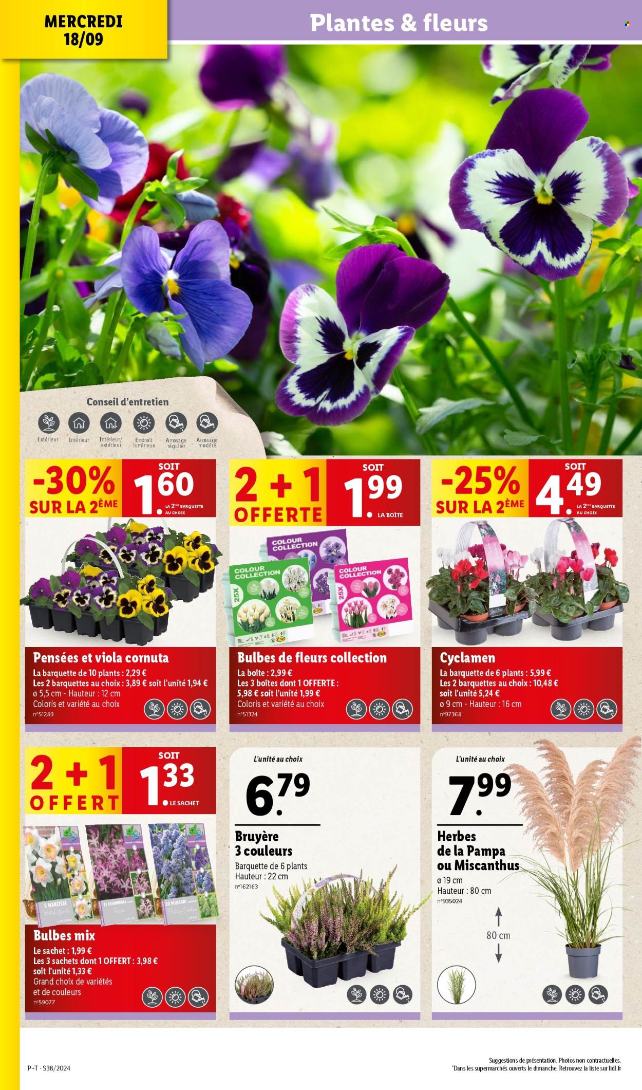 Catalogue Lidl - 18/09/2024 - 24/09/2024. Page 4