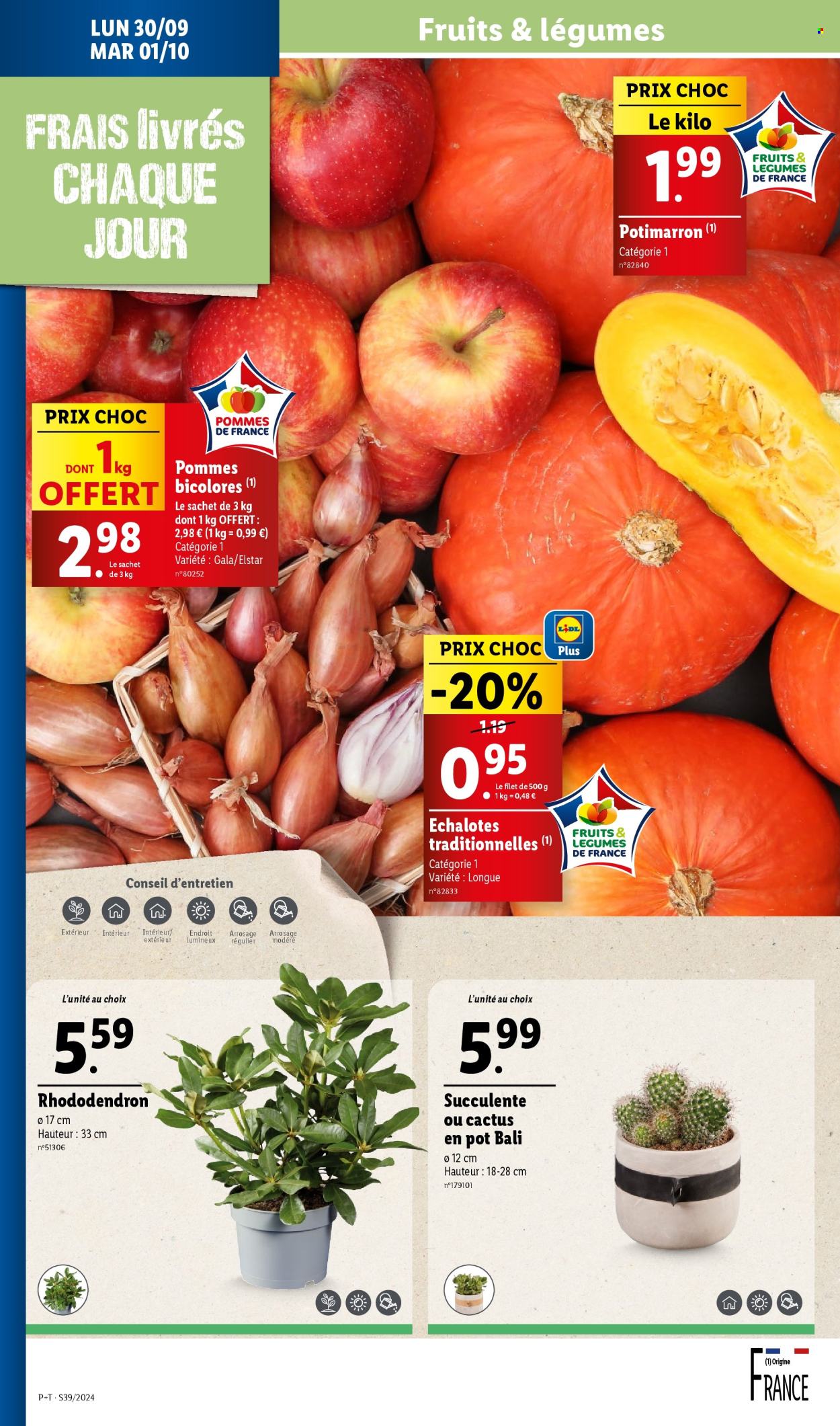 Catalogue Lidl - 25/09/2024 - 01/10/2024. Page 26