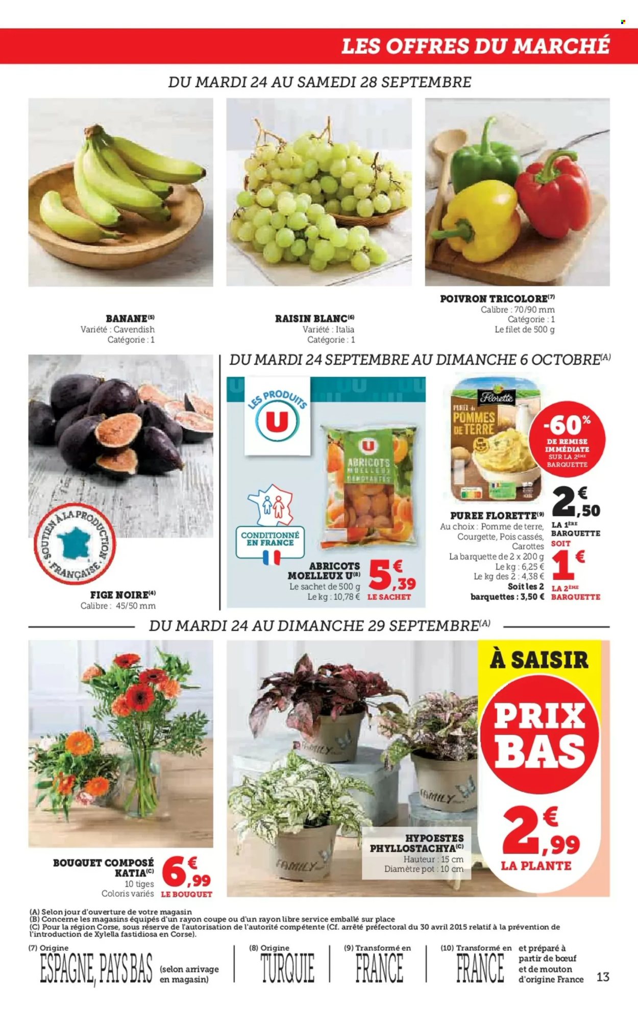 Catalogue SUPER U - 24/09/2024 - 06/10/2024. Page 13