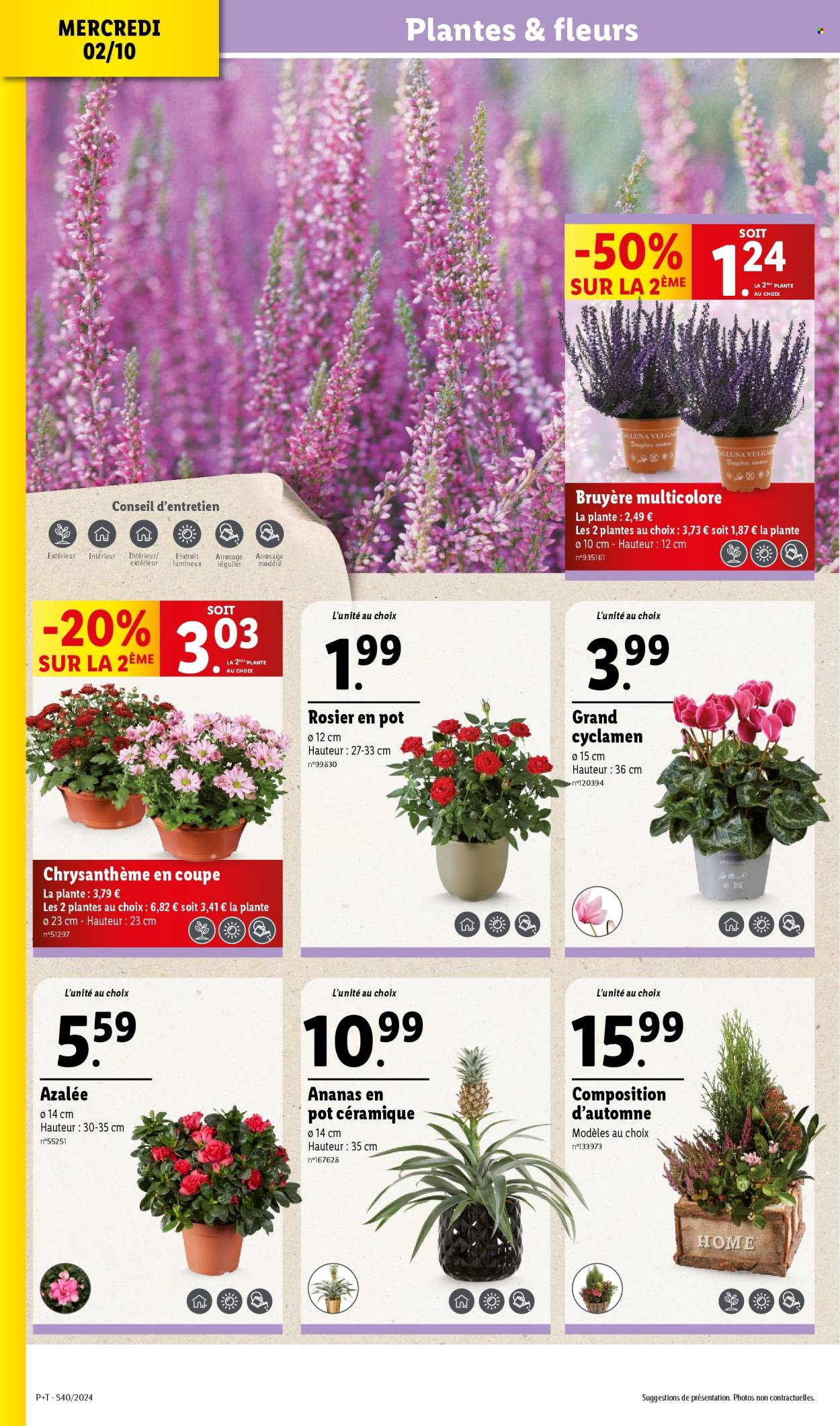 Catalogue Lidl - 02/10/2024 - 08/10/2024. Page 4