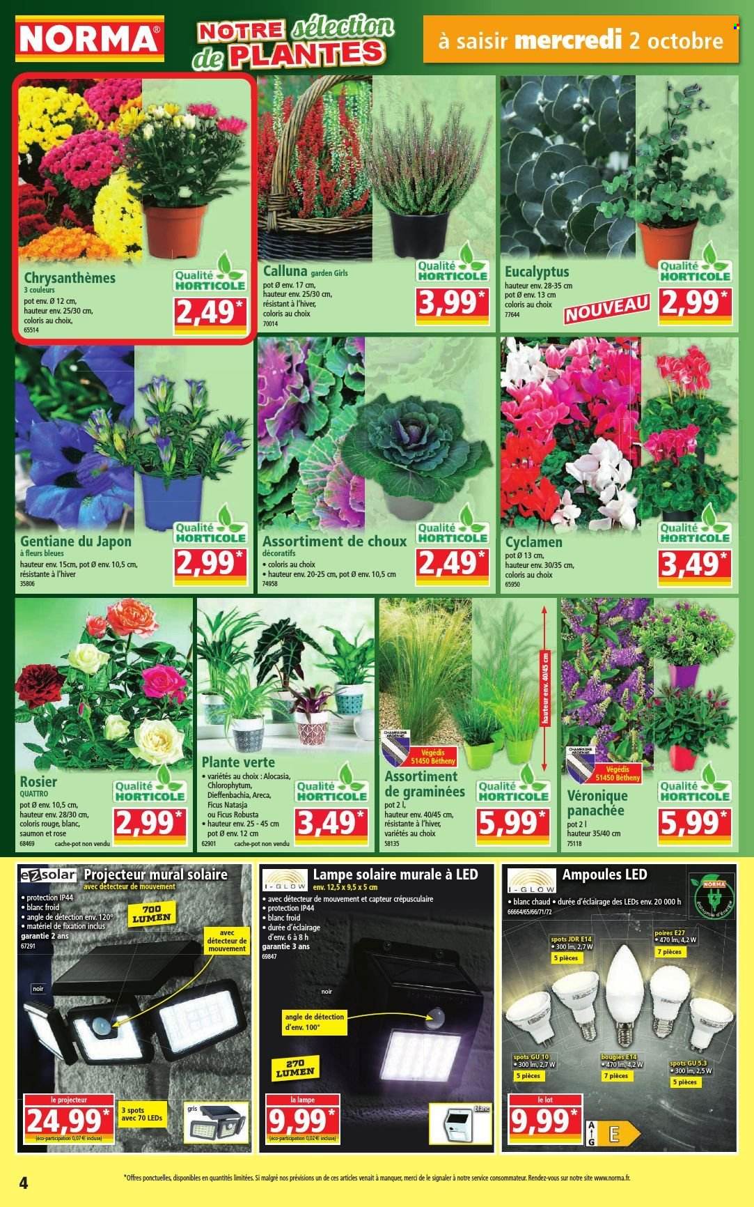 Catalogue Norma - 02/10/2024 - 08/10/2024. Page 4