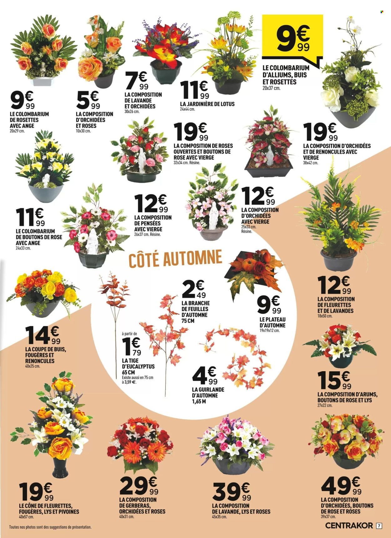 Catalogue Centrakor - 30/09/2024 - 13/10/2024. Page 7