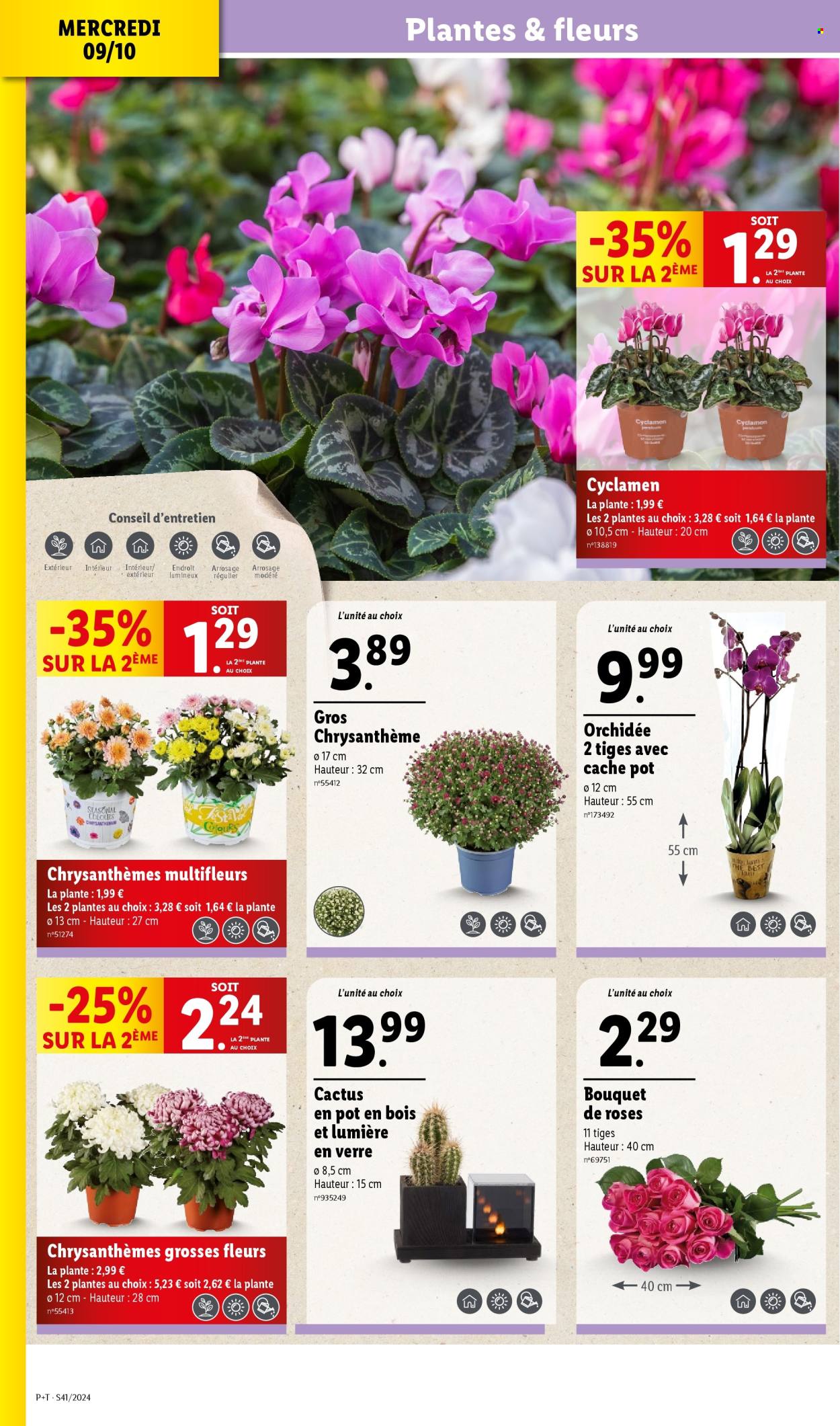 Catalogue Lidl - 09/10/2024 - 15/10/2024. Page 4