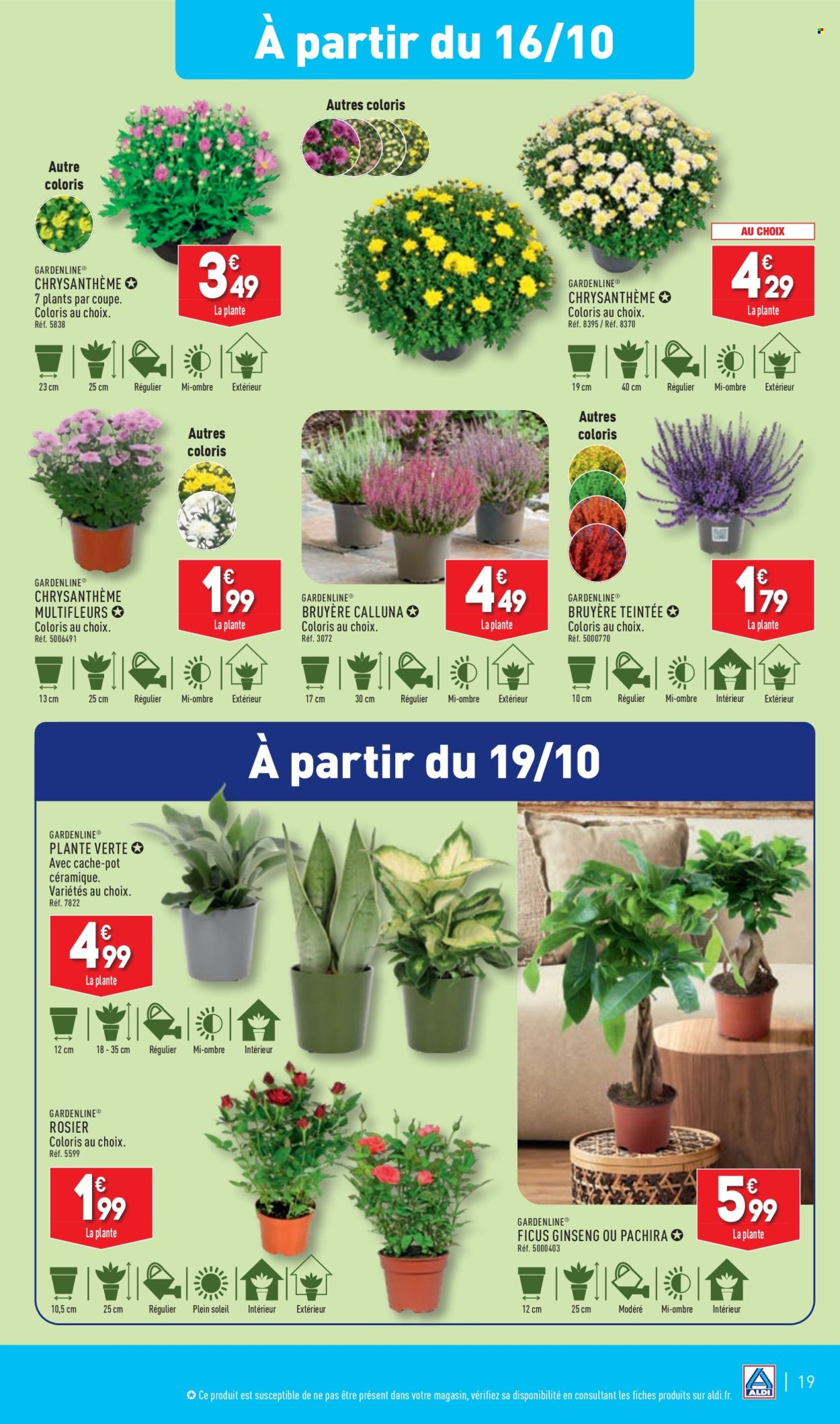 Catalogue ALDI - 15/10/2024 - 21/10/2024. Page 22