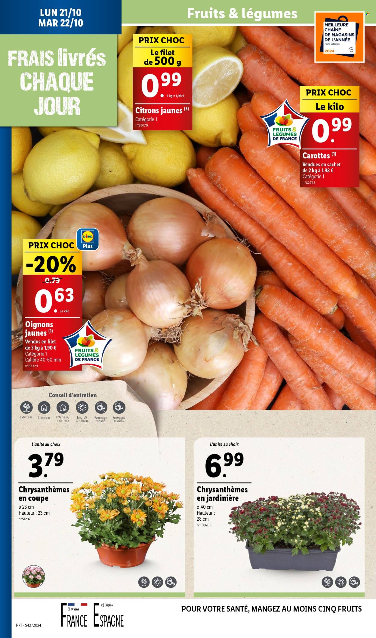 Catalogue Lidl - 16/10/2024 - 22/10/2024. Page 34