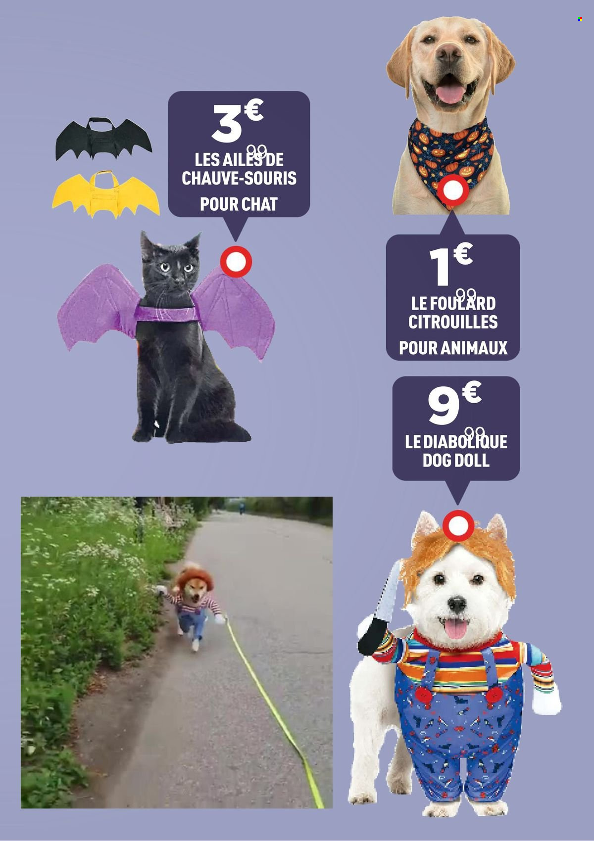 Catalogue Centrakor - 14/10/2024 - 27/10/2024. Page 13