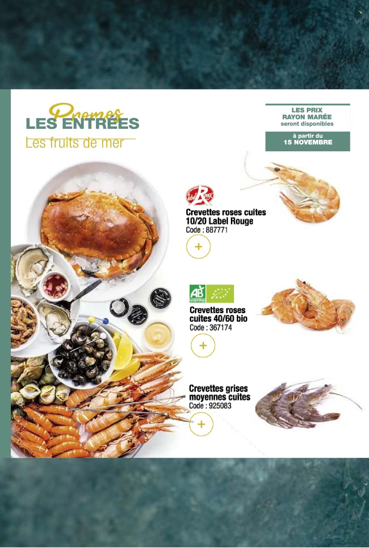 Catalogue Promocash - 03/12/2024 - 31/12/2024. Page 21