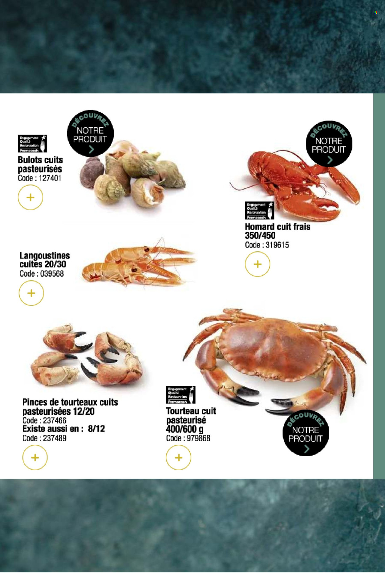Catalogue Promocash - 03/12/2024 - 31/12/2024. Page 22