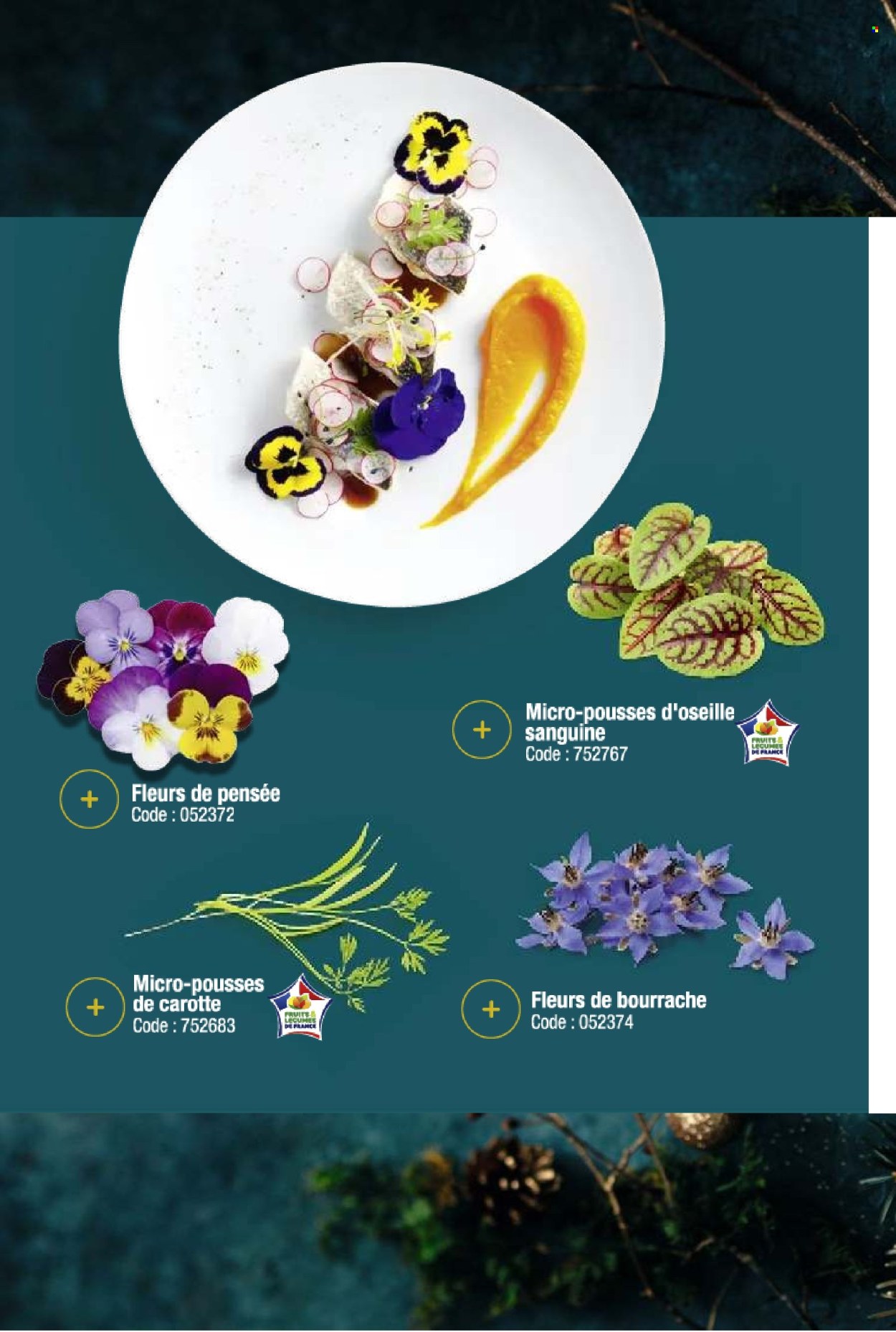 Catalogue Promocash - 03/12/2024 - 31/12/2024. Page 42