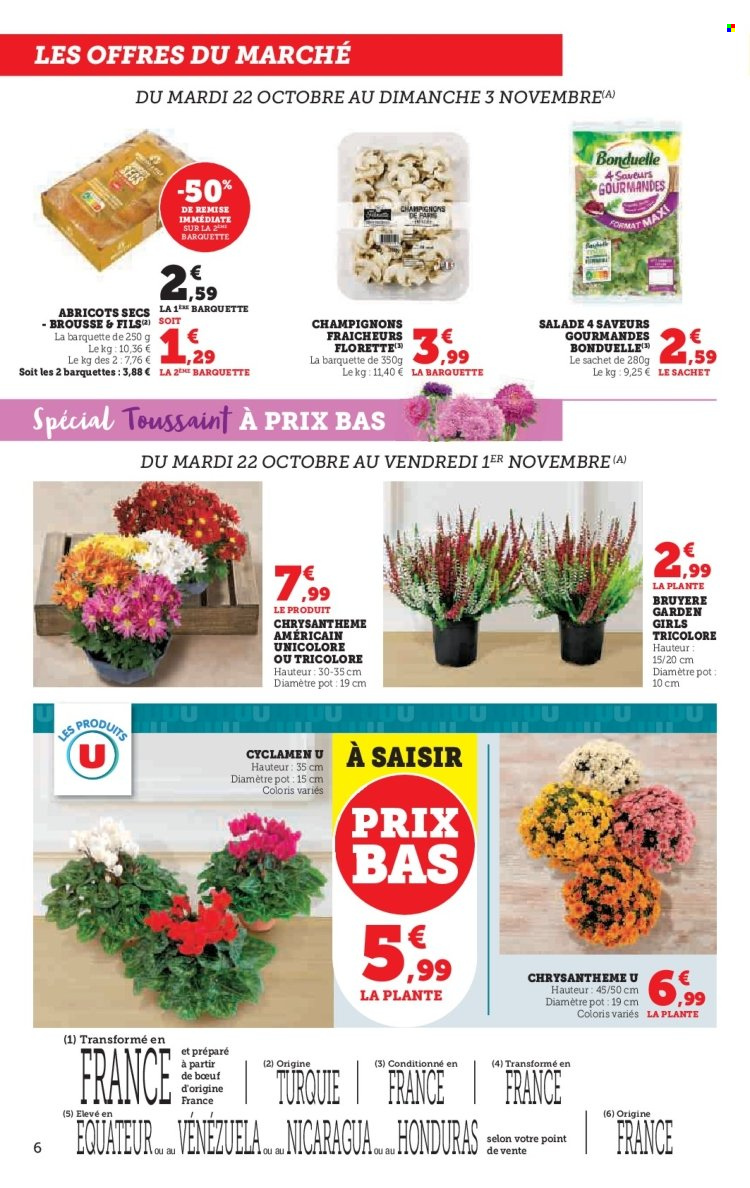 Catalogue U express - 22/10/2024 - 03/11/2024. Page 6