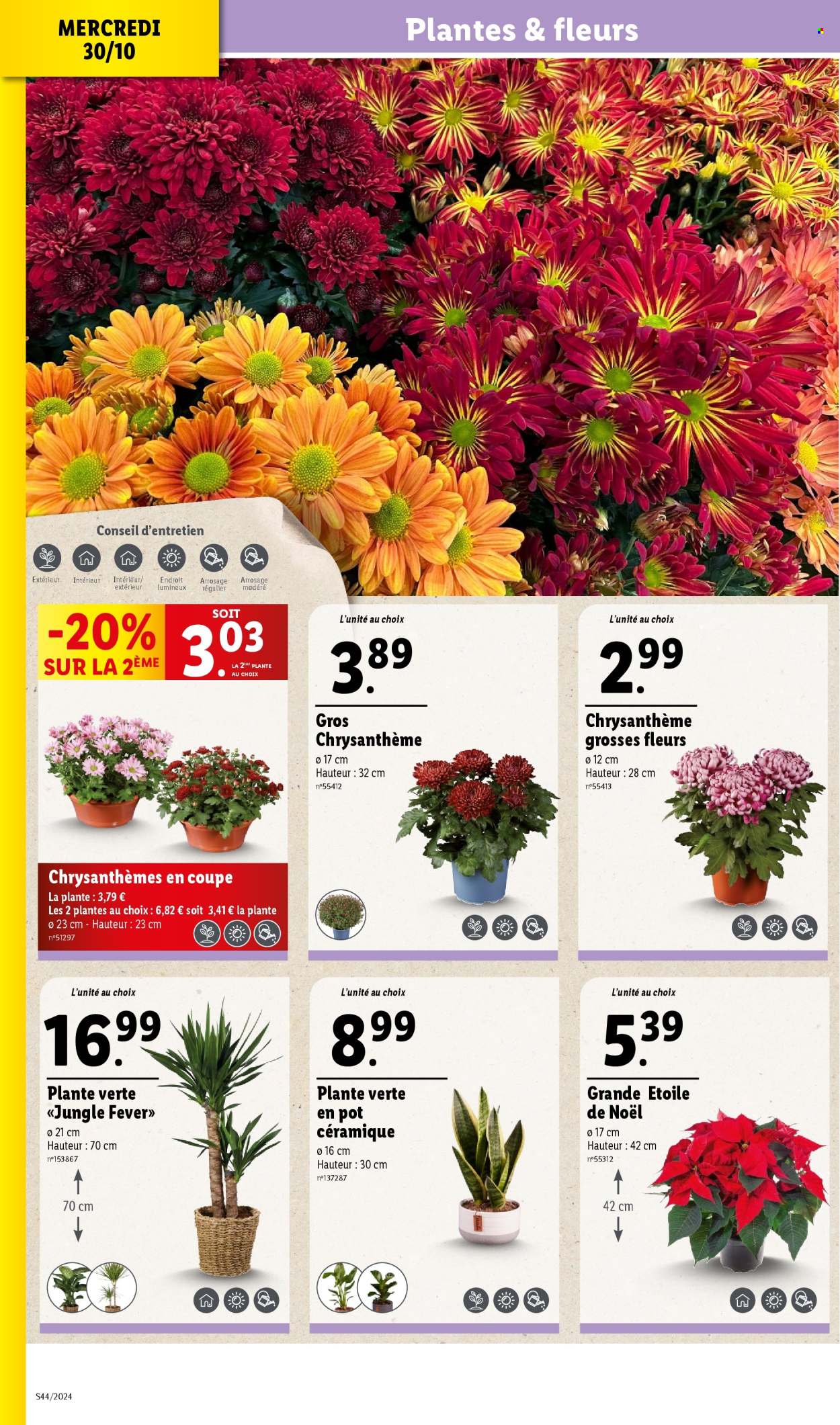 Catalogue Lidl - 30/10/2024 - 05/11/2024. Page 6