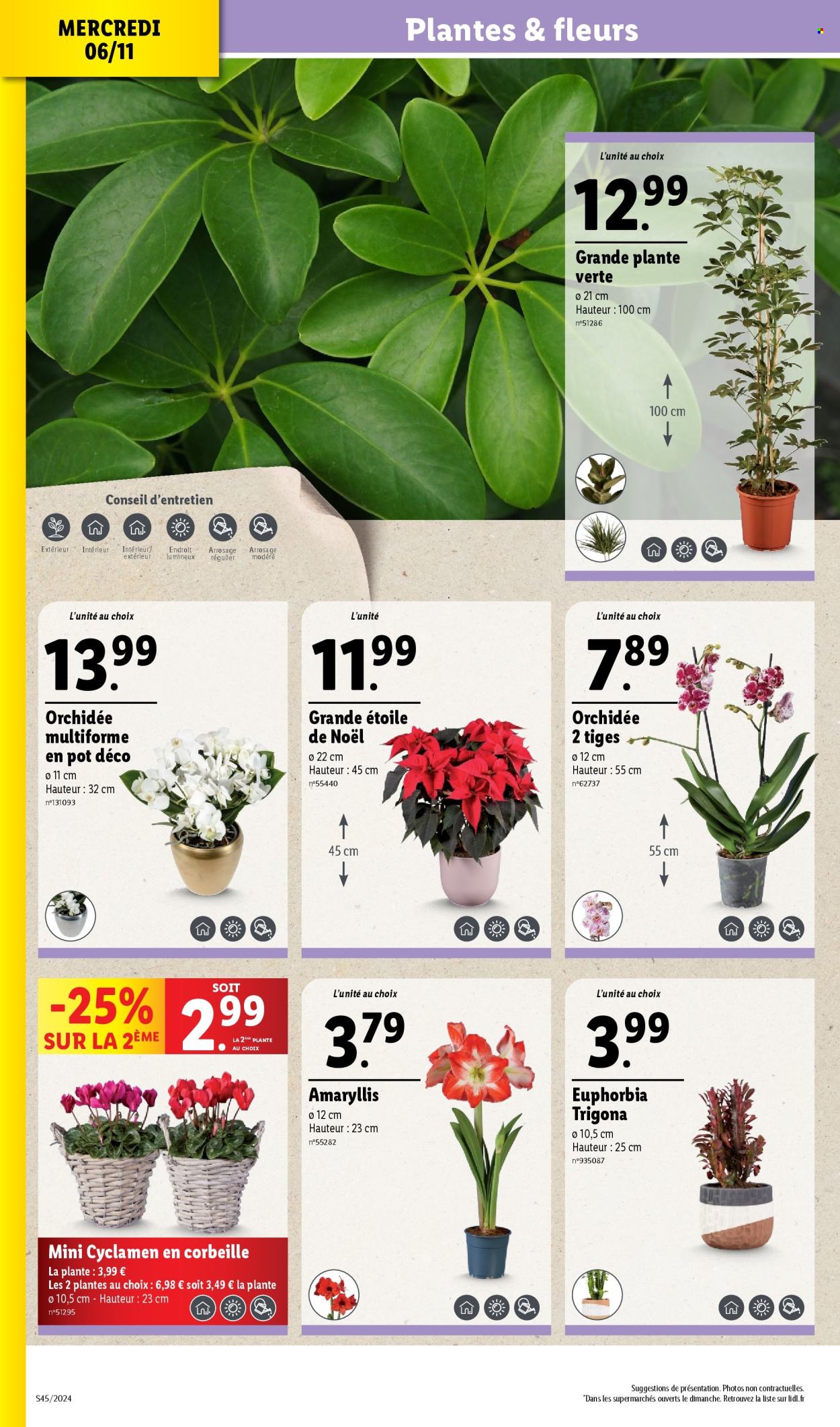 Catalogue Lidl - 06/11/2024 - 12/11/2024. Page 4