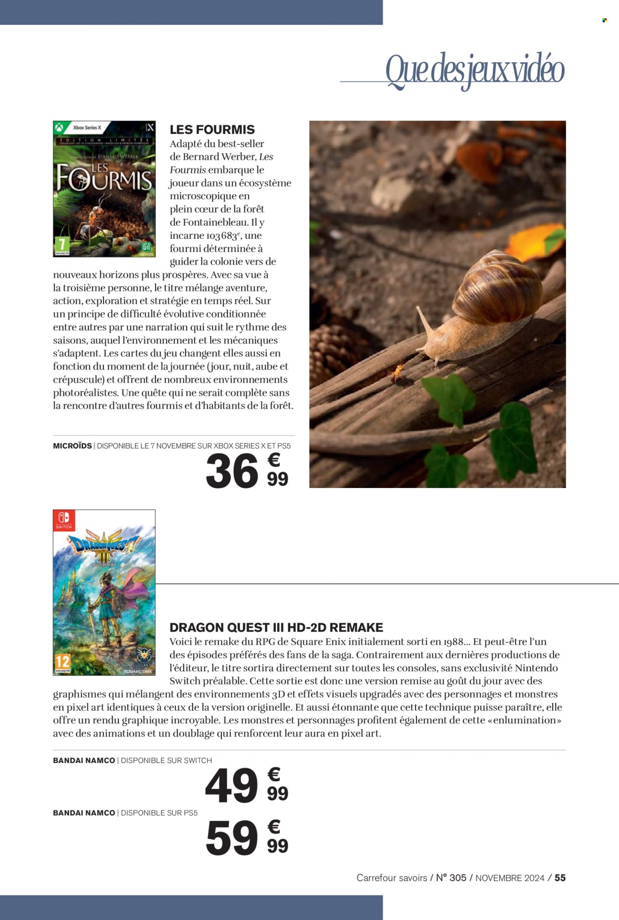 Catalogue Carrefour - 01/11/2024 - 30/11/2024. Page 55