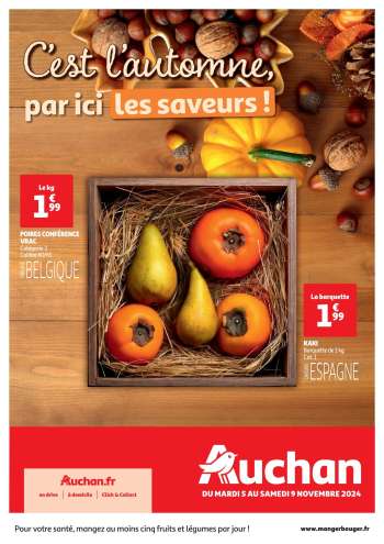 Catalogue Auchan - 05/11/2024 - 09/11/2024.