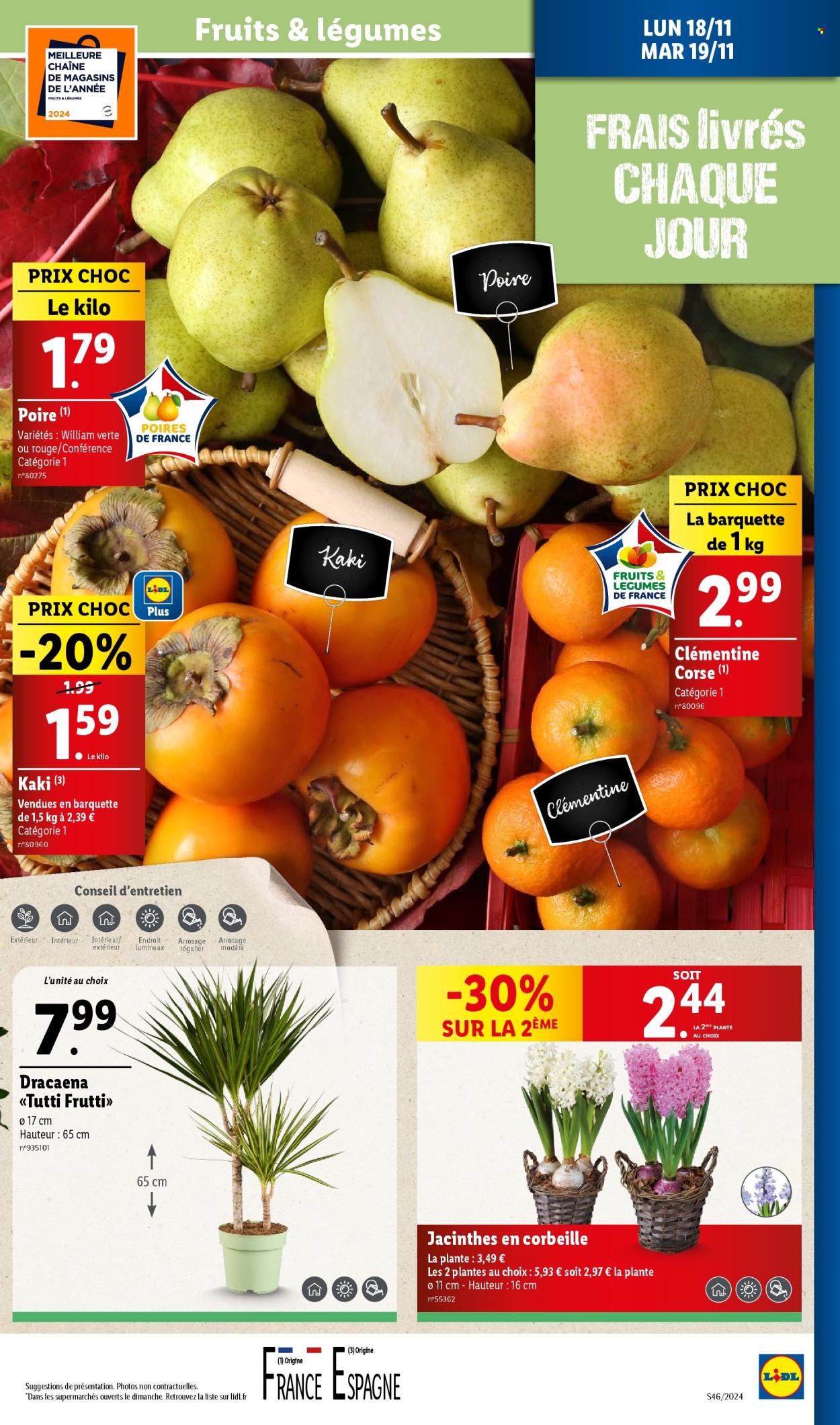 Catalogue Lidl - 13/11/2024 - 19/11/2024. Page 31