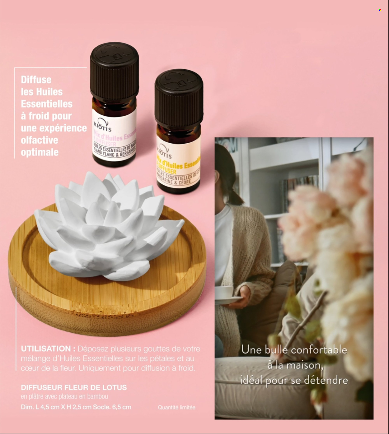 Catalogue Stanhome - 25/11/2024 - 22/12/2024. Page 39