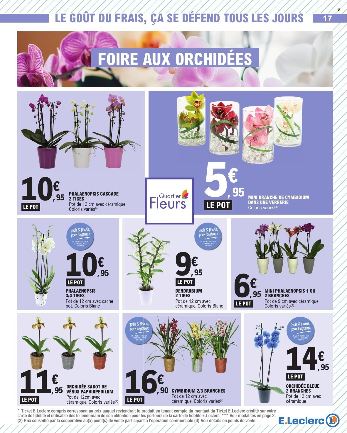 Catalogue E.Leclerc - 03/12/2024 - 14/12/2024. Page 17