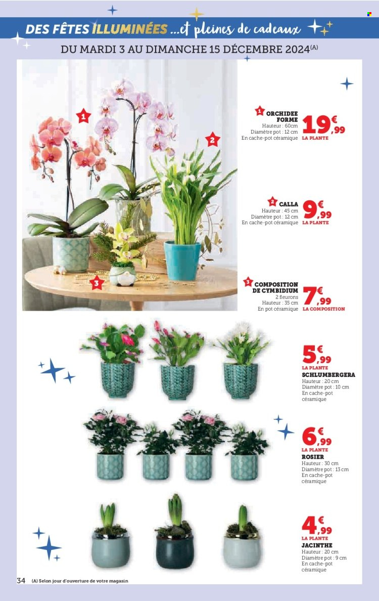 Catalogue SUPER U - 03/12/2024 - 24/12/2024. Page 34
