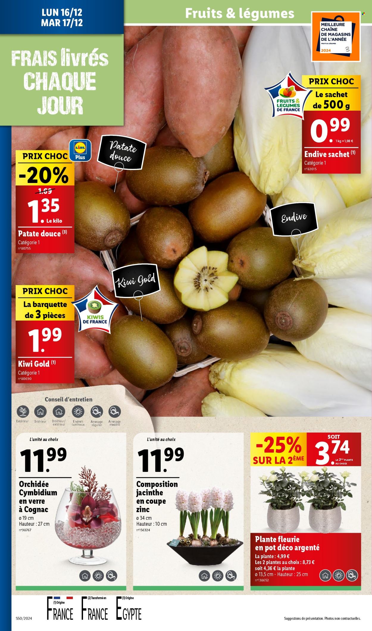 Catalogue Lidl - 11/12/2024 - 17/12/2024. Page 34
