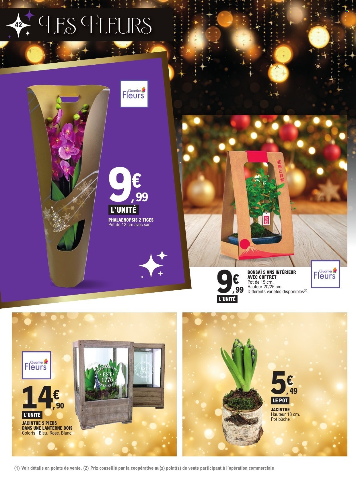 Catalogue E.Leclerc - 10/12/2024 - 24/12/2024. Page 42