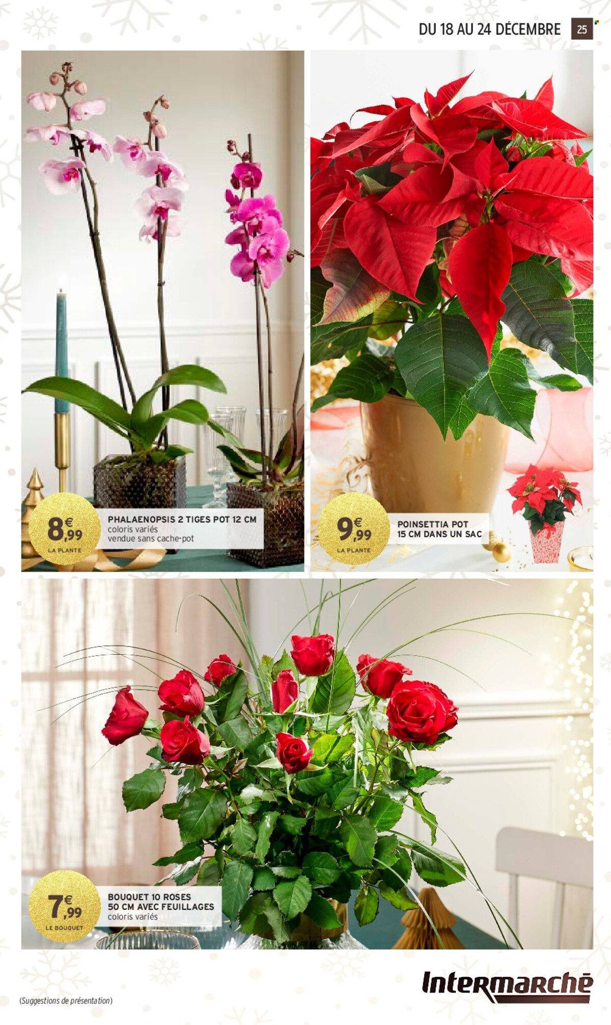 Catalogue Intermarché - 17/12/2024 - 24/12/2024. Page 25