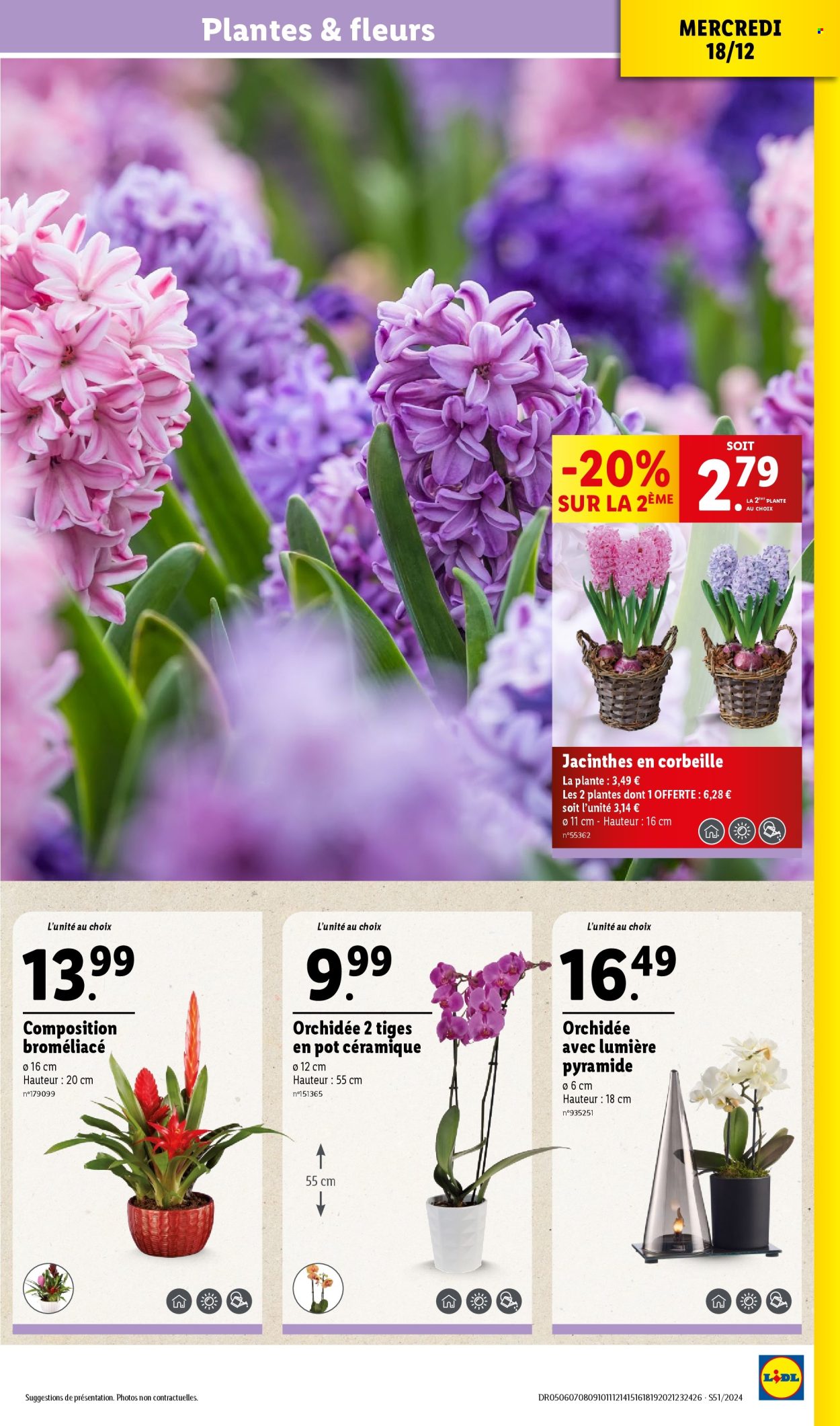 Catalogue Lidl - 18/12/2024 - 24/12/2024. Page 33